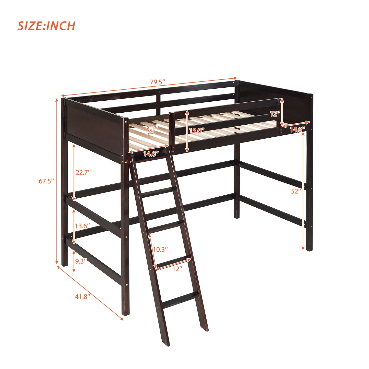 Solid Wood Twin Size Loft Bed with Ladder(Espresso)(: WF191903AAP)