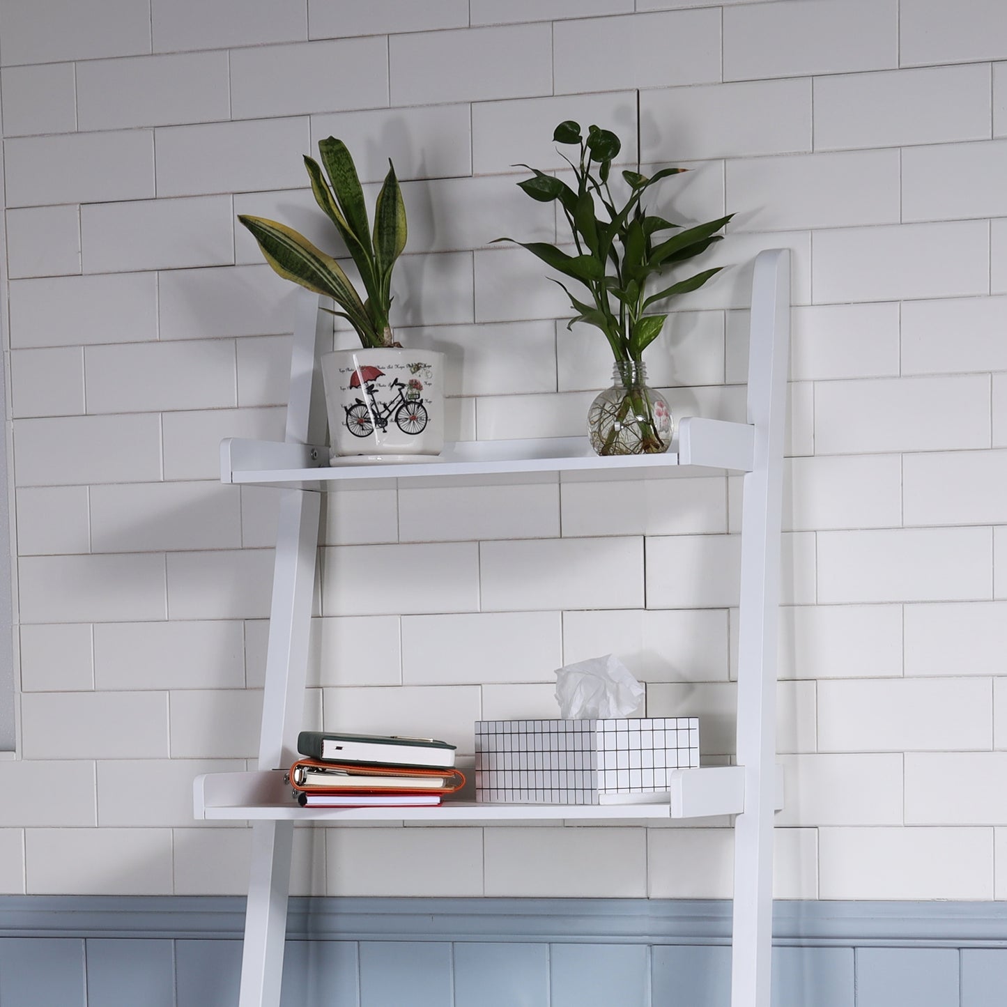 5 - Tier Ladder Shelf