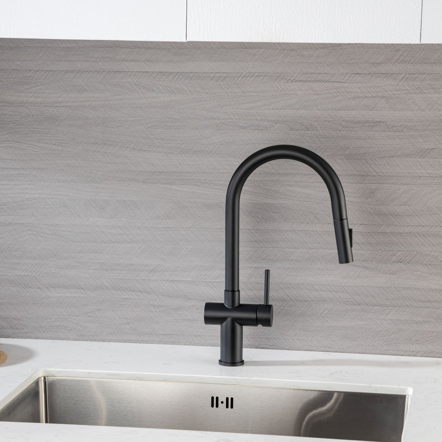 Rainlex Pull Down Kitchen Faucet