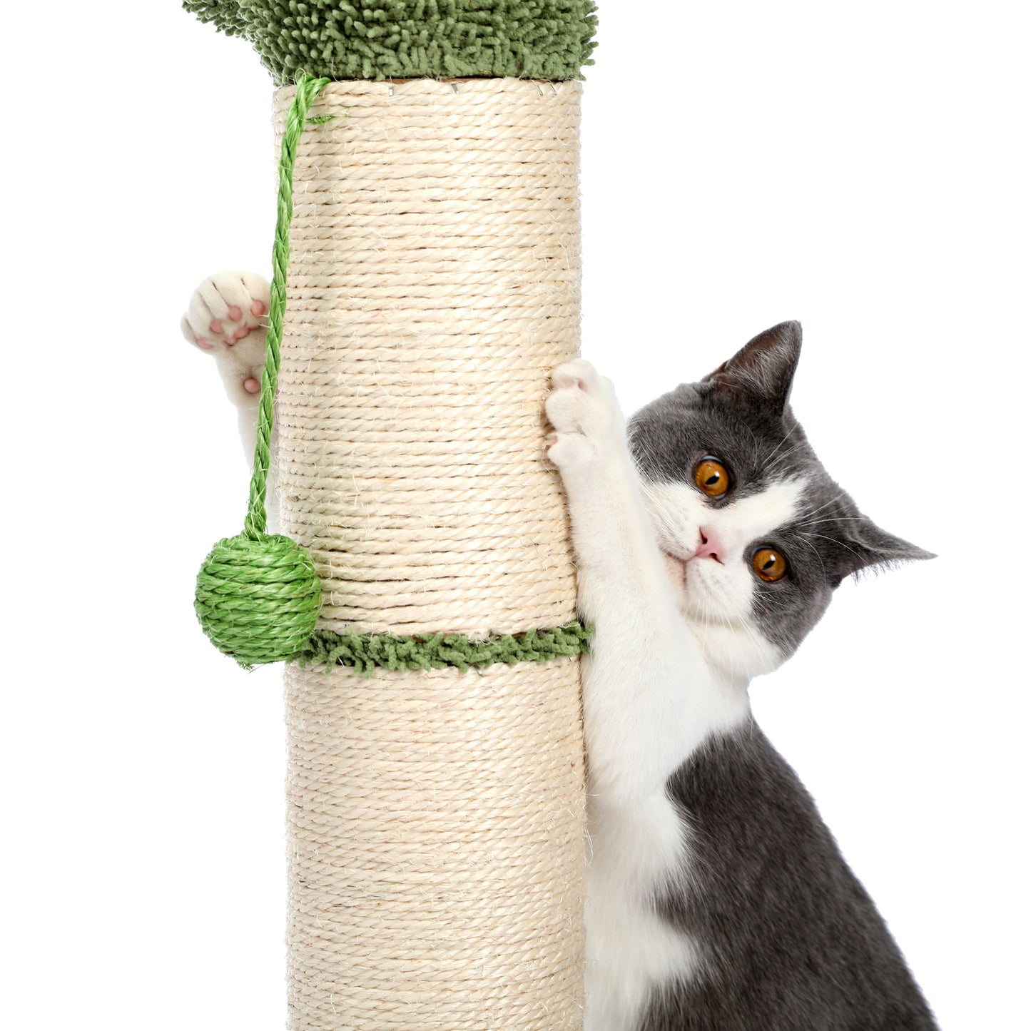 Large Cactus Cat Scratching Post with Natural Sisal Ropes, Cat Scratcher for Cats and Kittens White