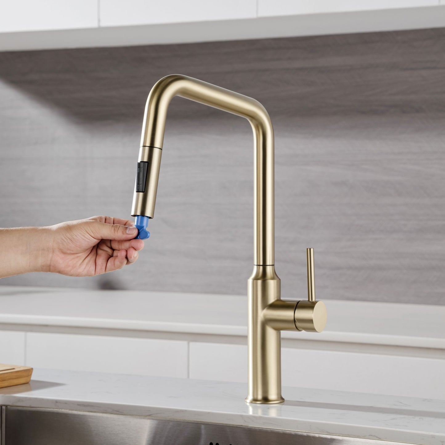 Rainlex Pull Down Kitchen Faucet