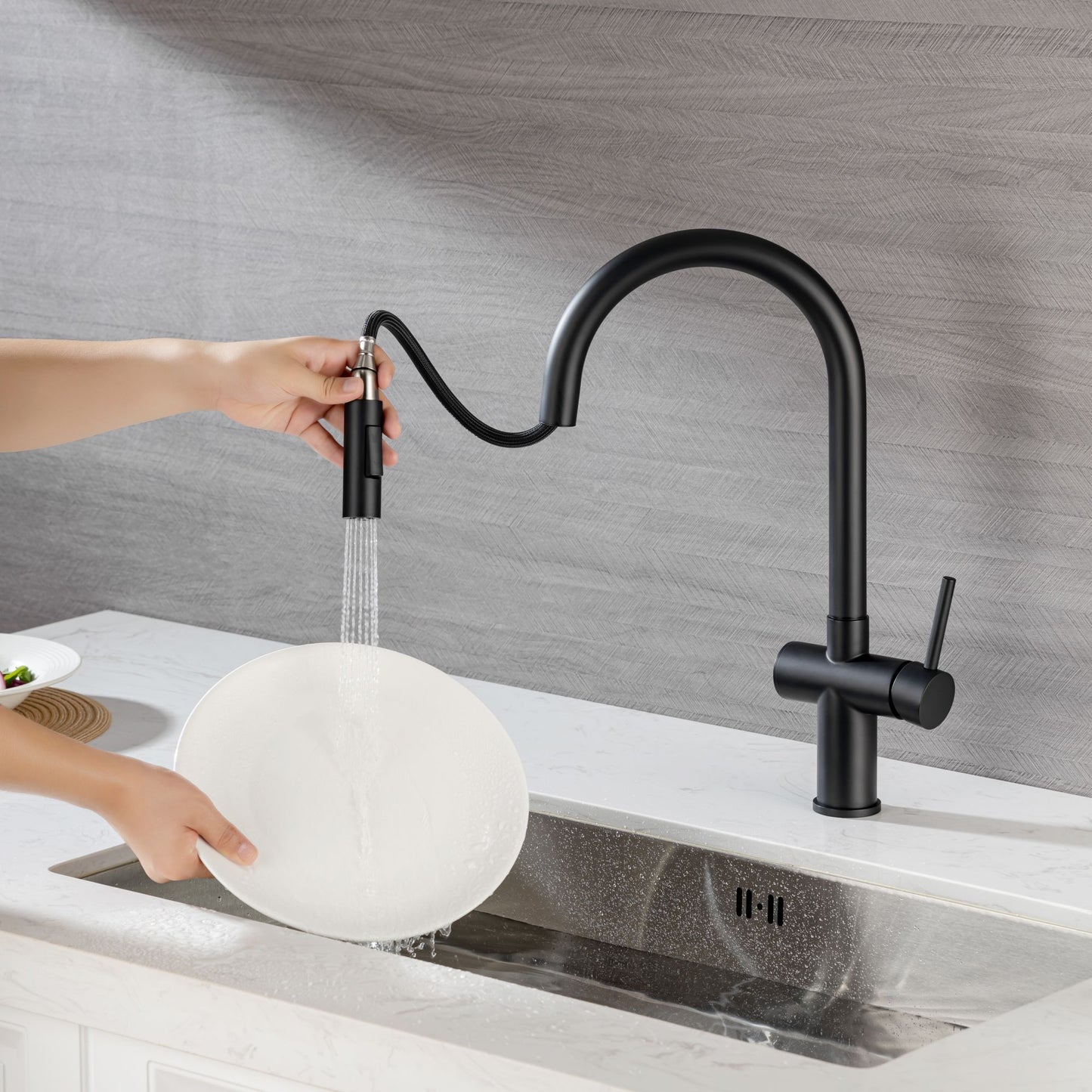 Rainlex Pull Down Kitchen Faucet