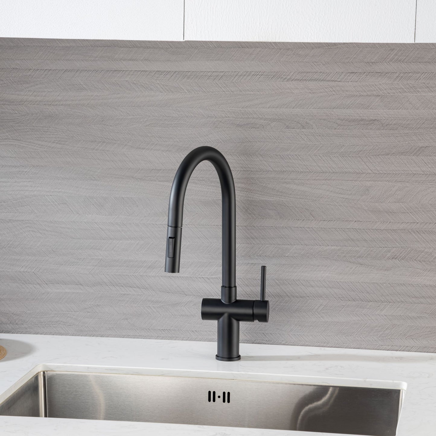 Rainlex Pull Down Kitchen Faucet