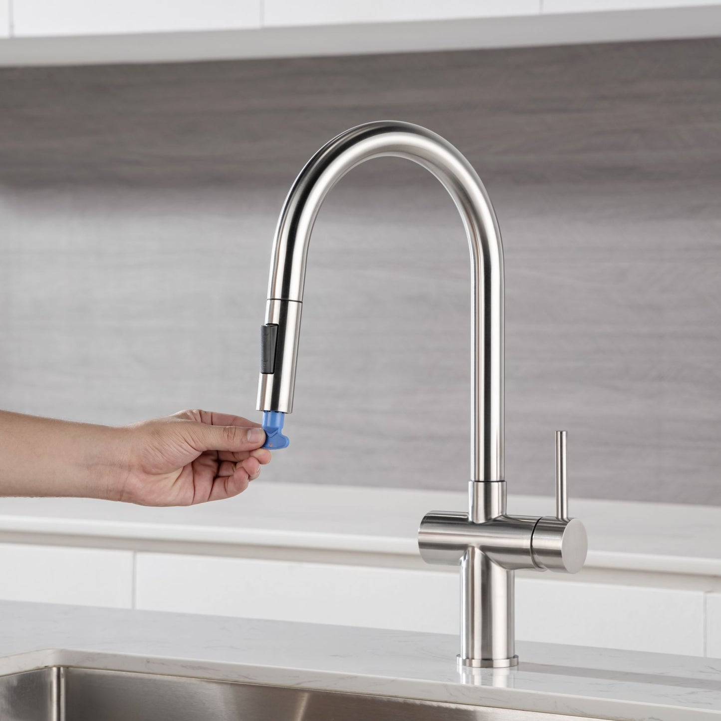 Rainlex Pull Down Kitchen Faucet