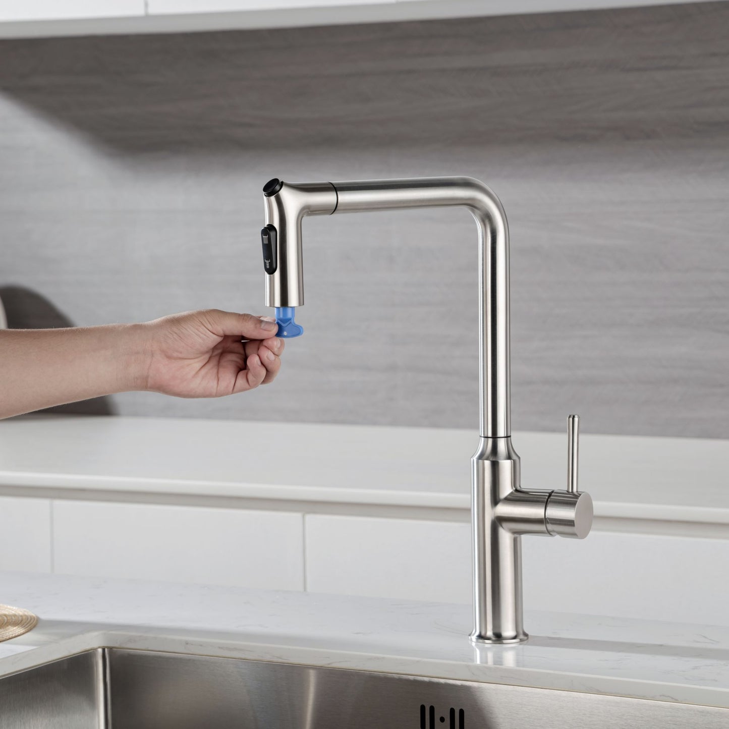 Rainlex Kitchen Faucet