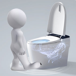 Smart Toilets with Heated Bidet Seat, Portable toilet with bidet built in AUTO Open&Close, Bidet toilet with Dryer and Warm Water,Tankless Toilet in 1.28GPF, White