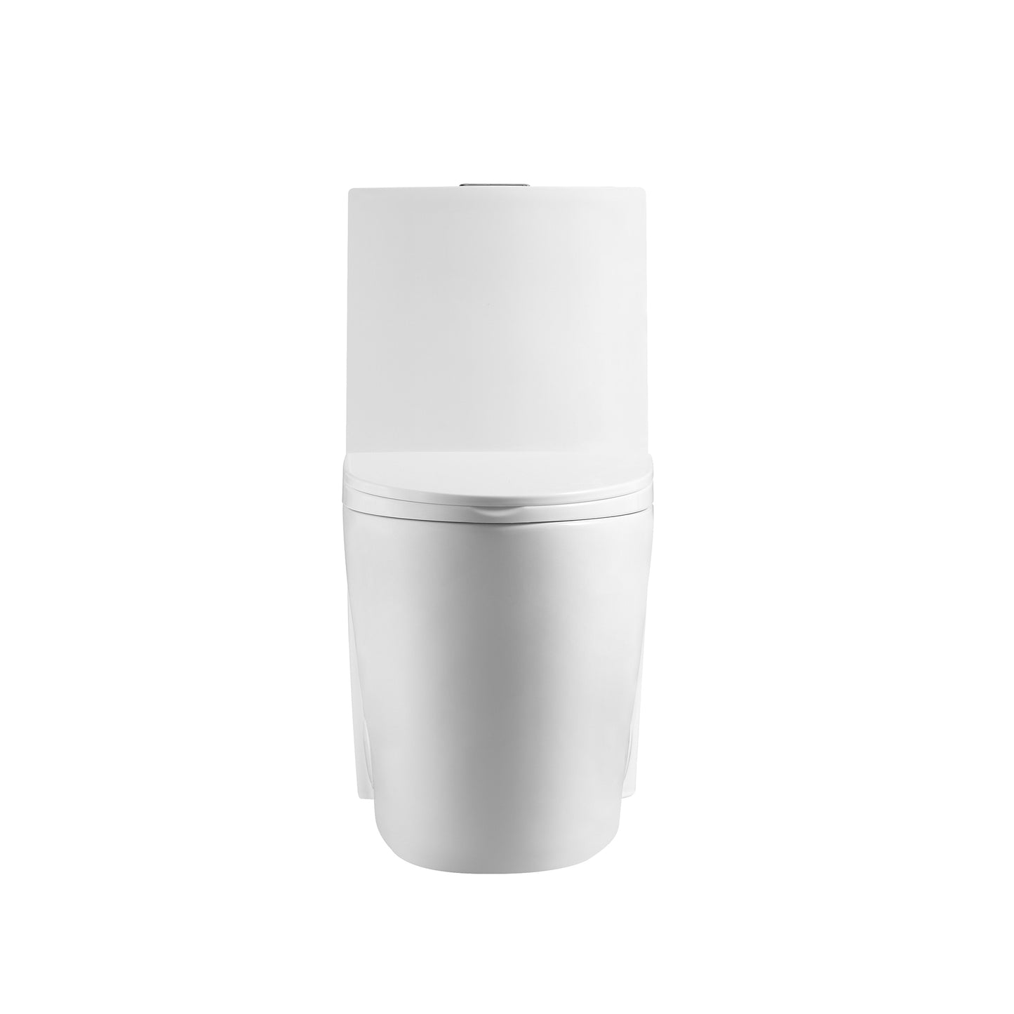 One-piece Dual Flush Elongated Toilet in White