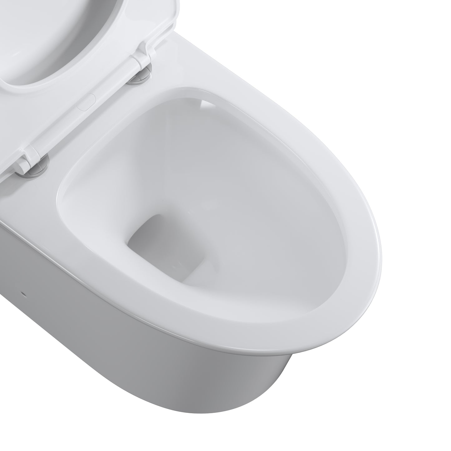 One Piece Dual Flush Elongated Toilet