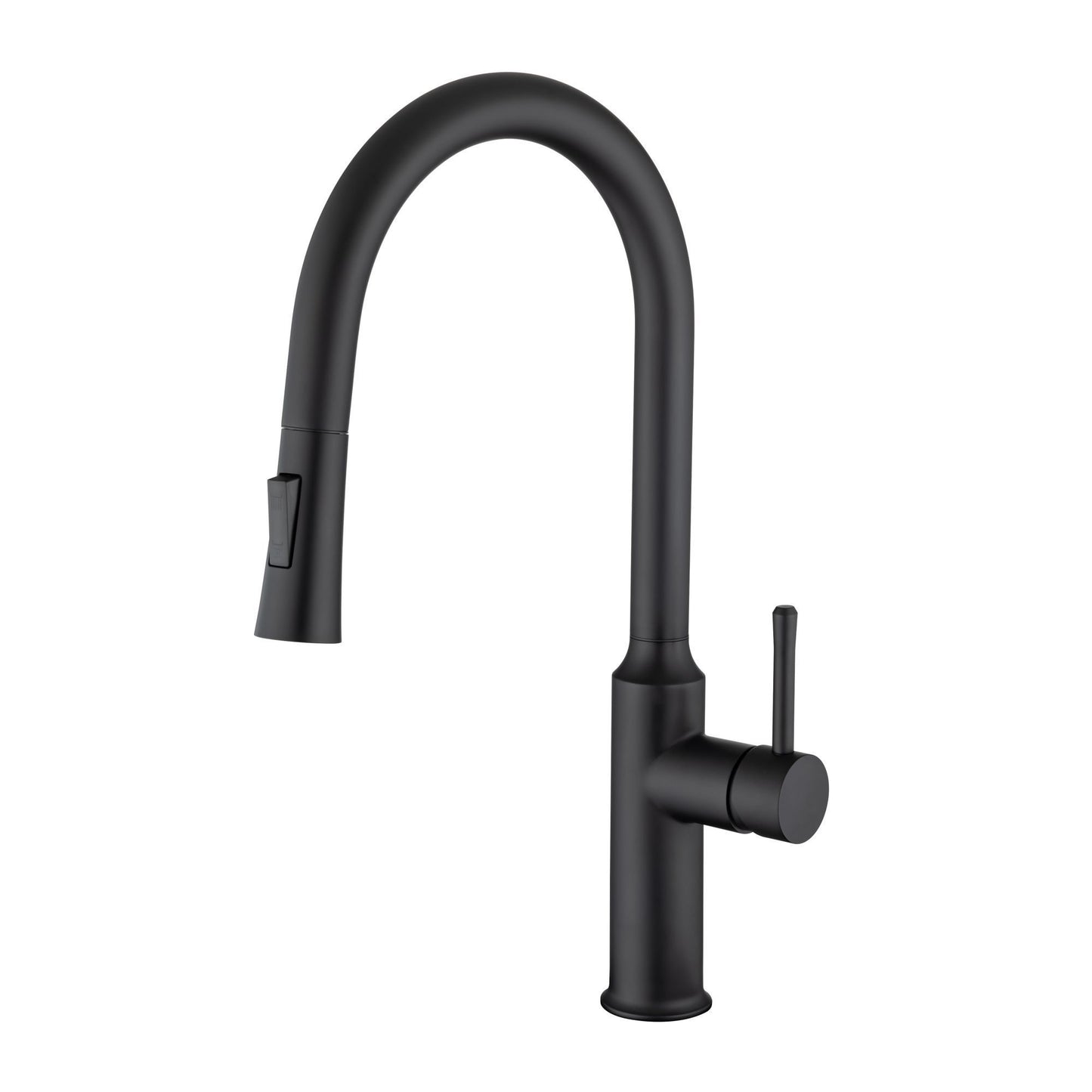 Rainlex Pull Down Kitchen Faucet