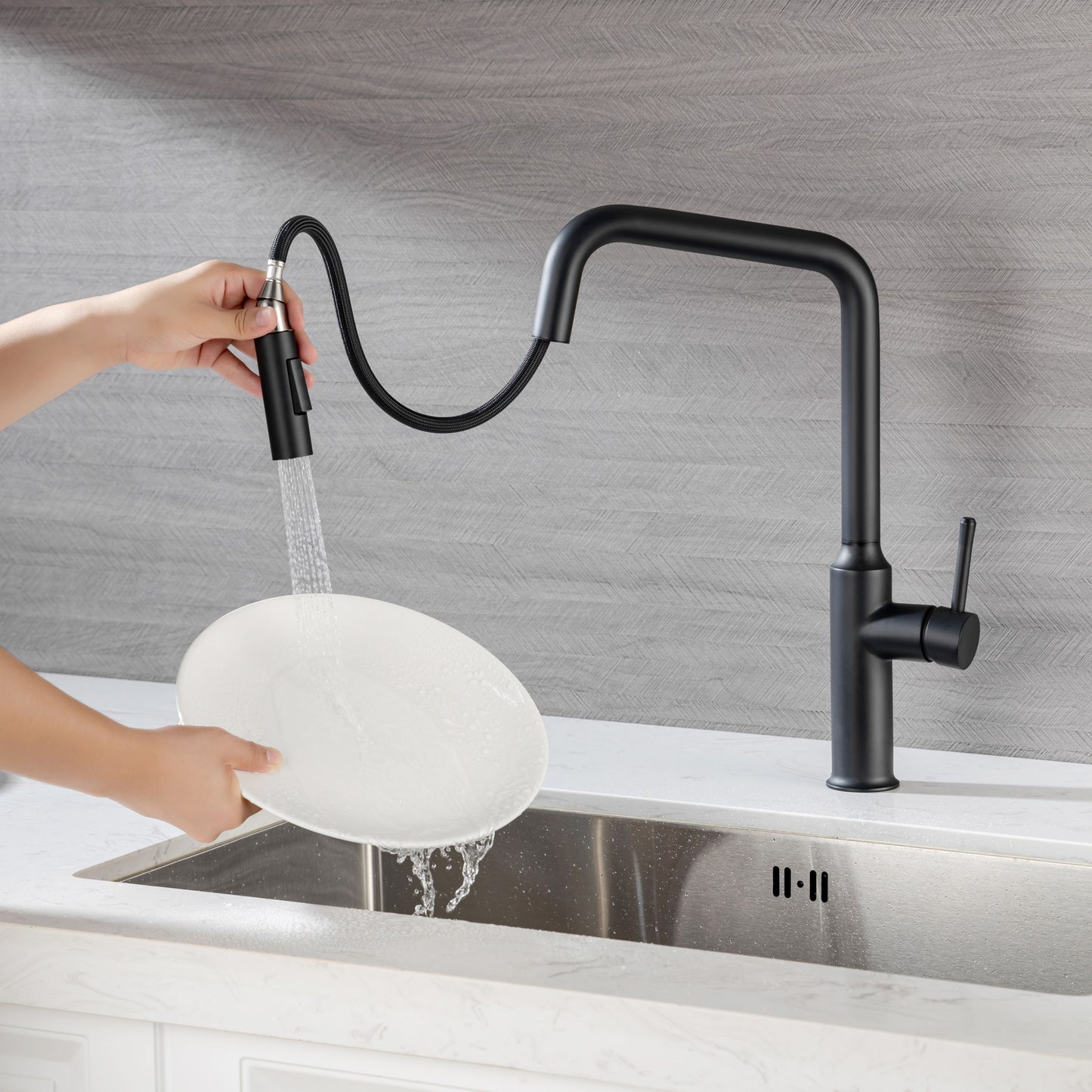 Rainlex Pull Down Kitchen Faucet