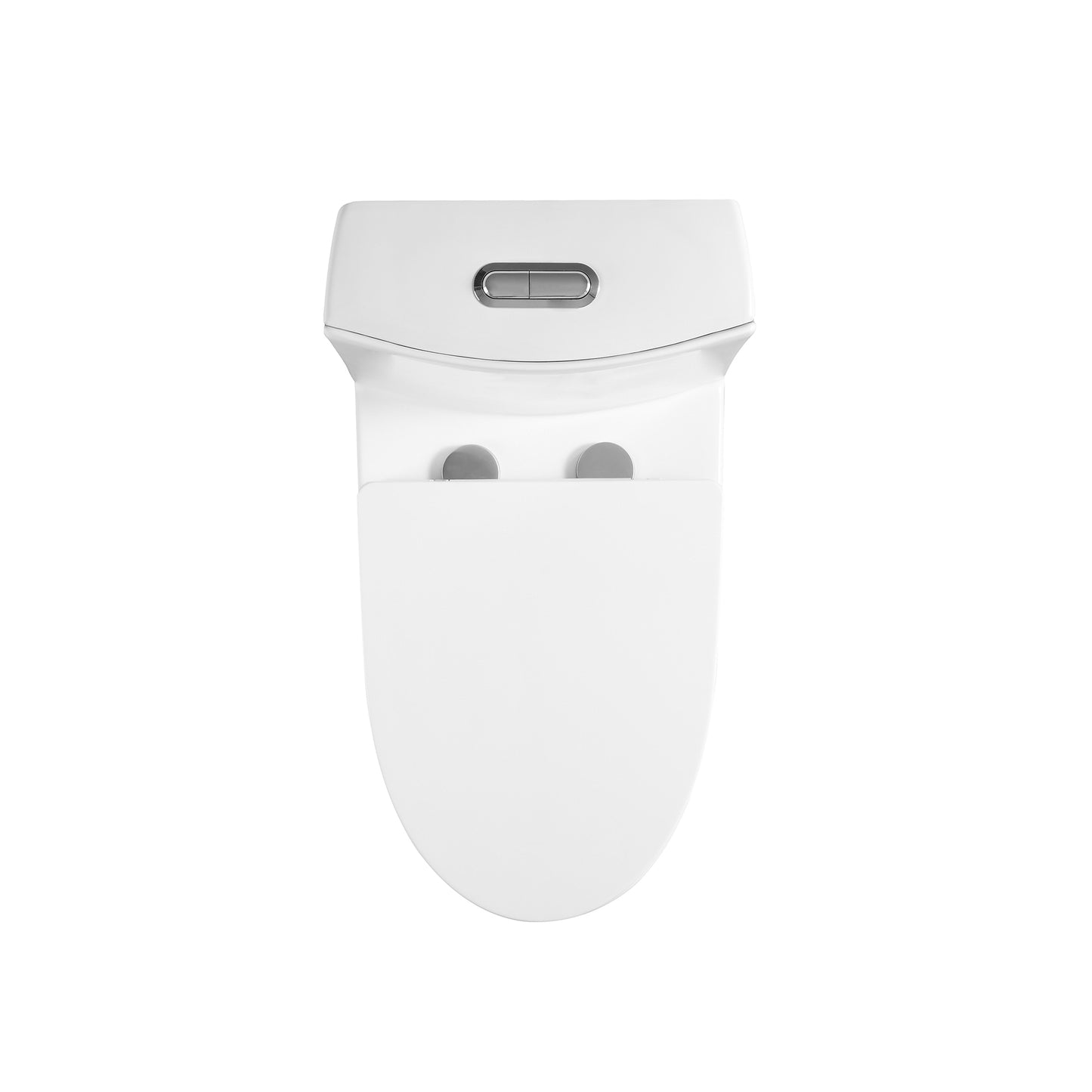 One-piece Dual Flush Elongated Toilet in White