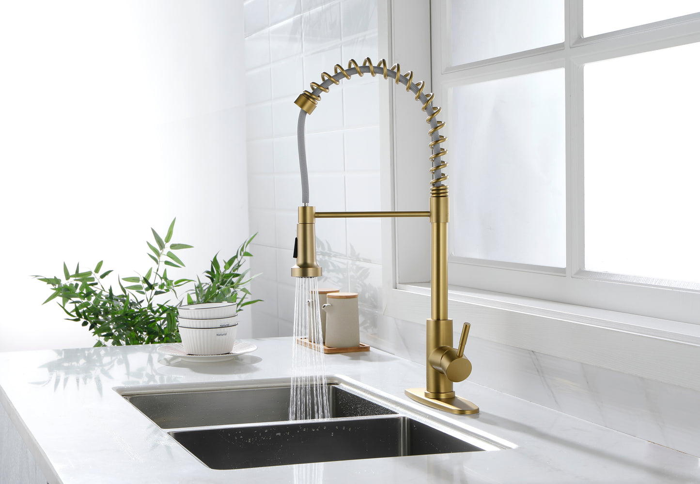 Kitchen Faucet with Pull Out Spraye