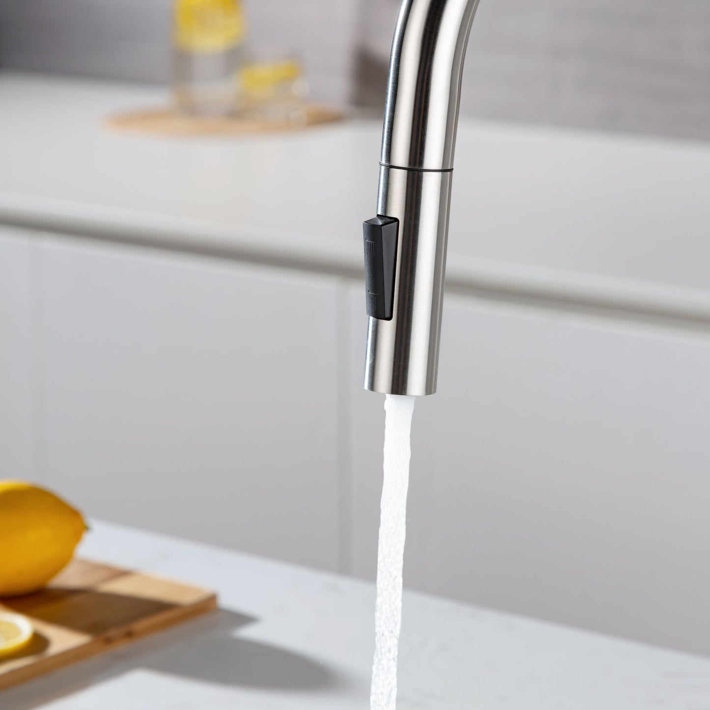 Rainlex Pull Down Kitchen Faucet