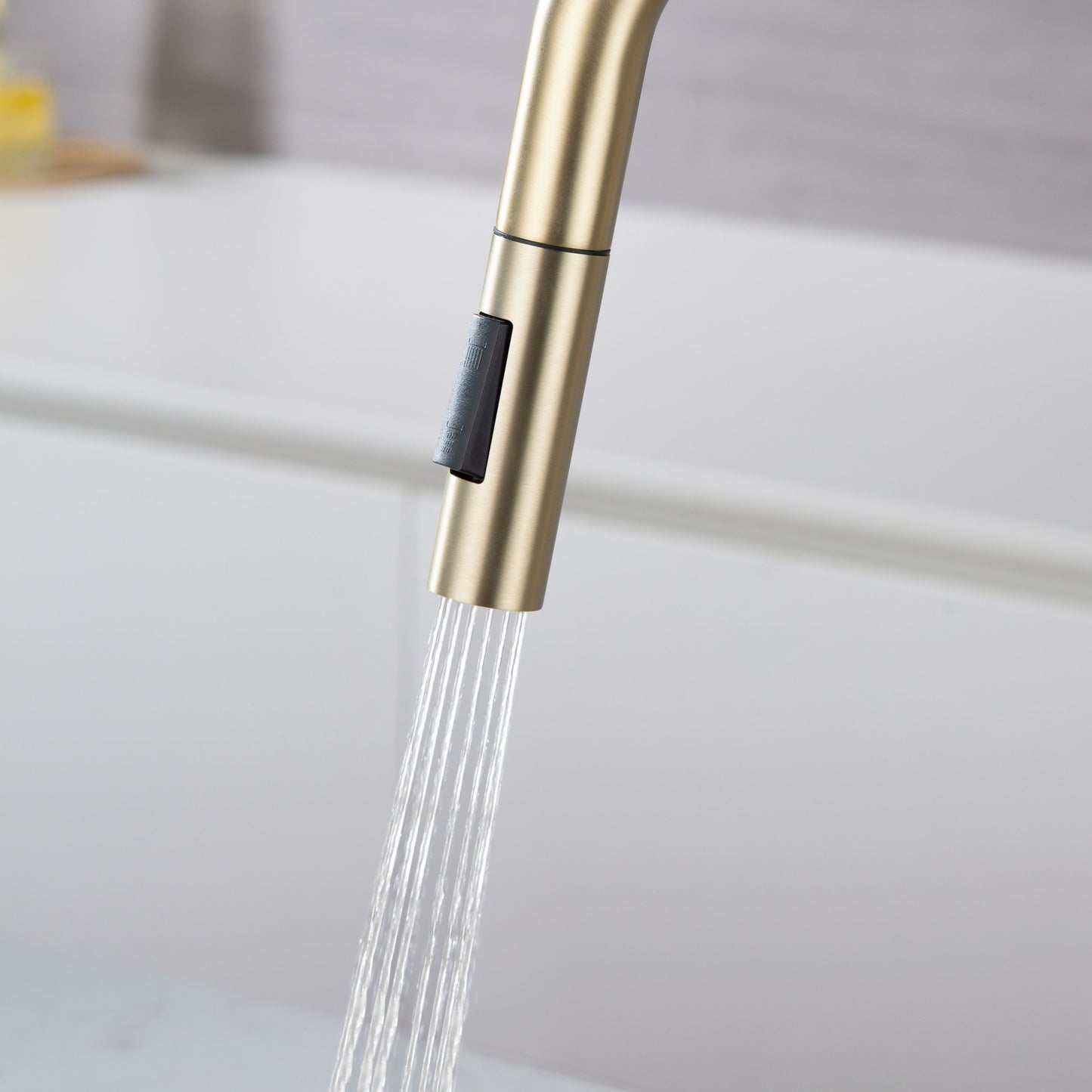 Rainlex Pull Down Kitchen Faucet