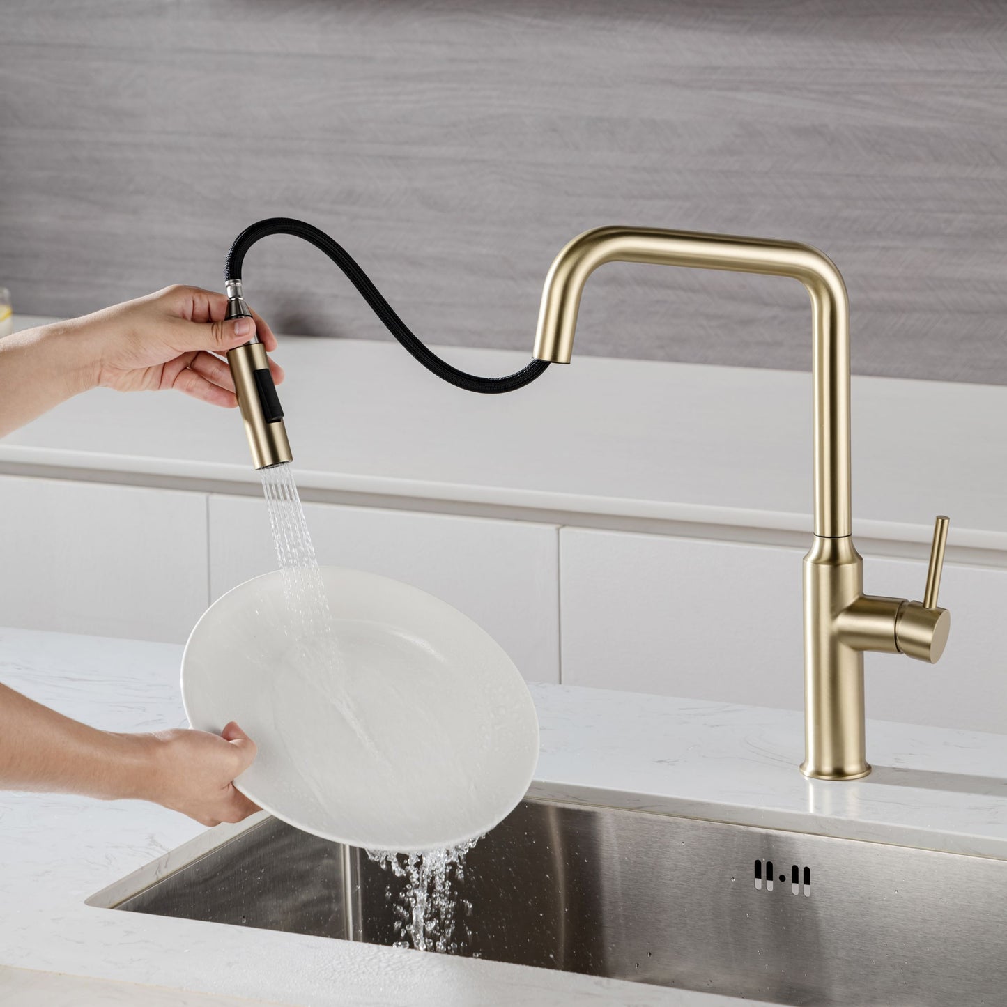 Rainlex Pull Down Kitchen Faucet