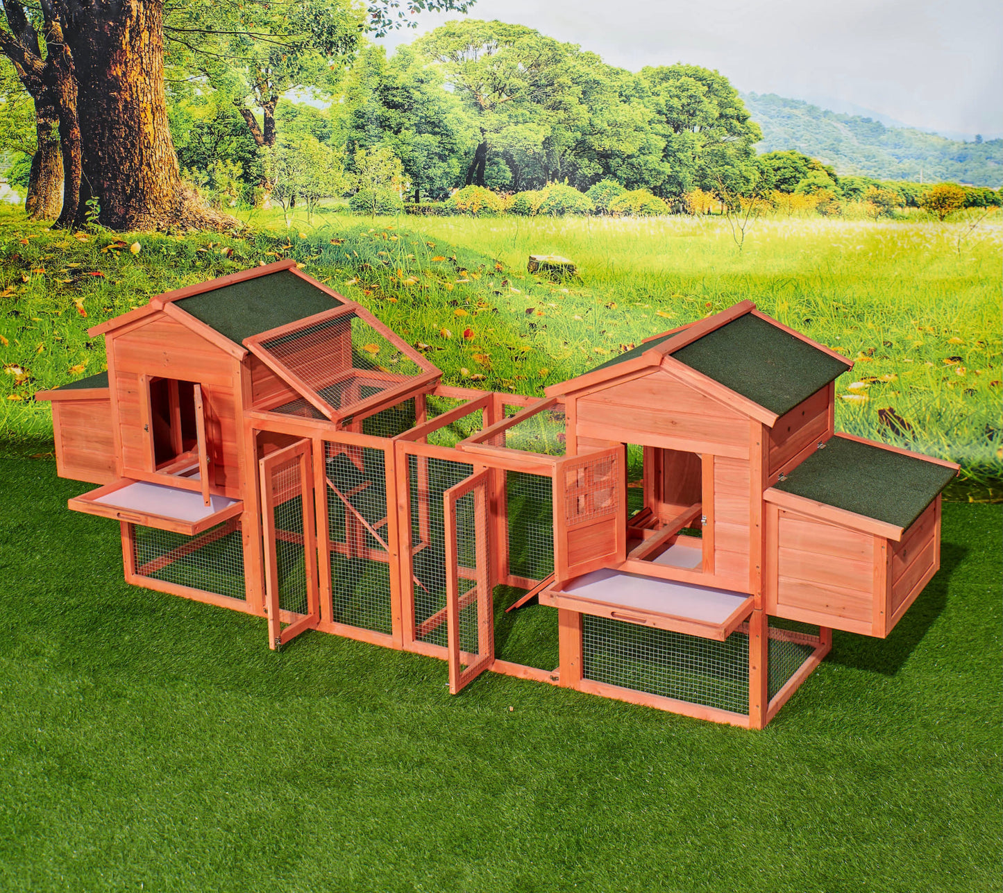 Chicken Coop Duplex with Outdoor Run