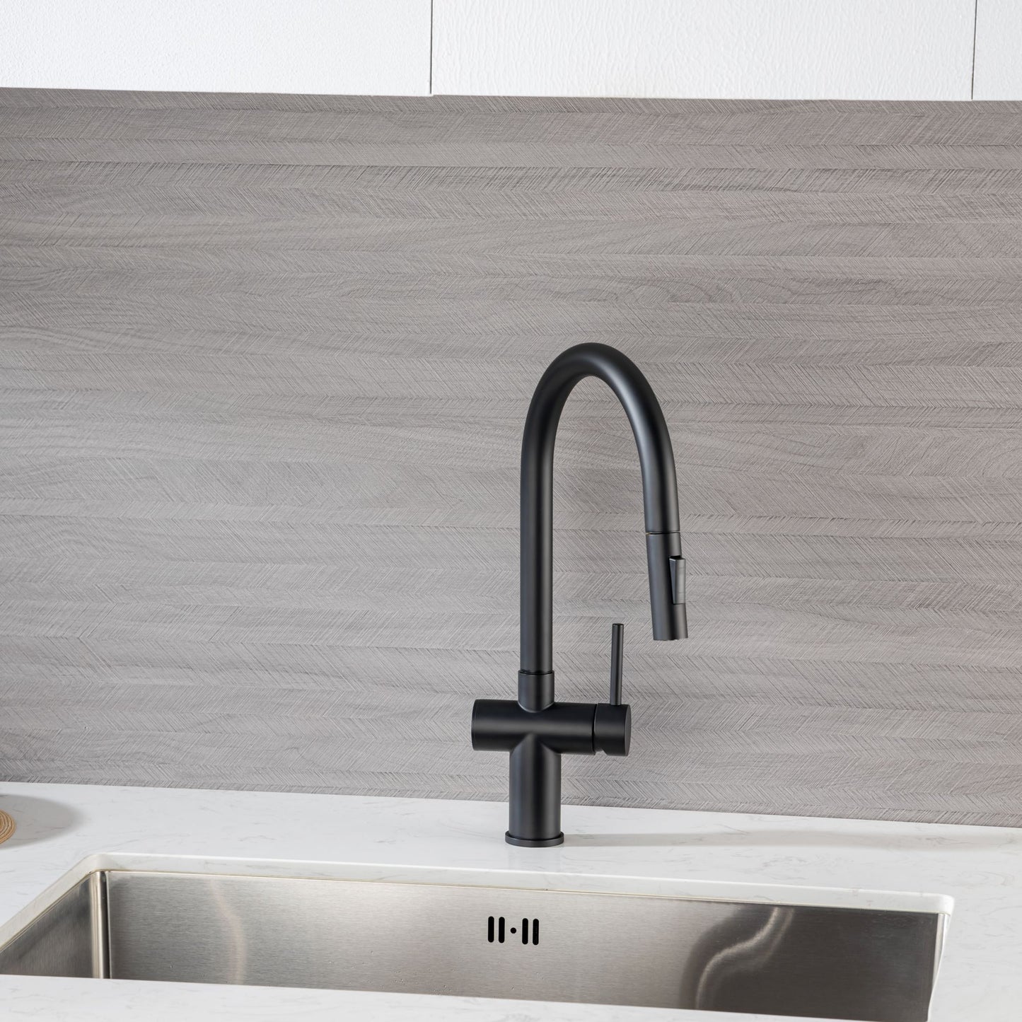 Rainlex Pull Down Kitchen Faucet