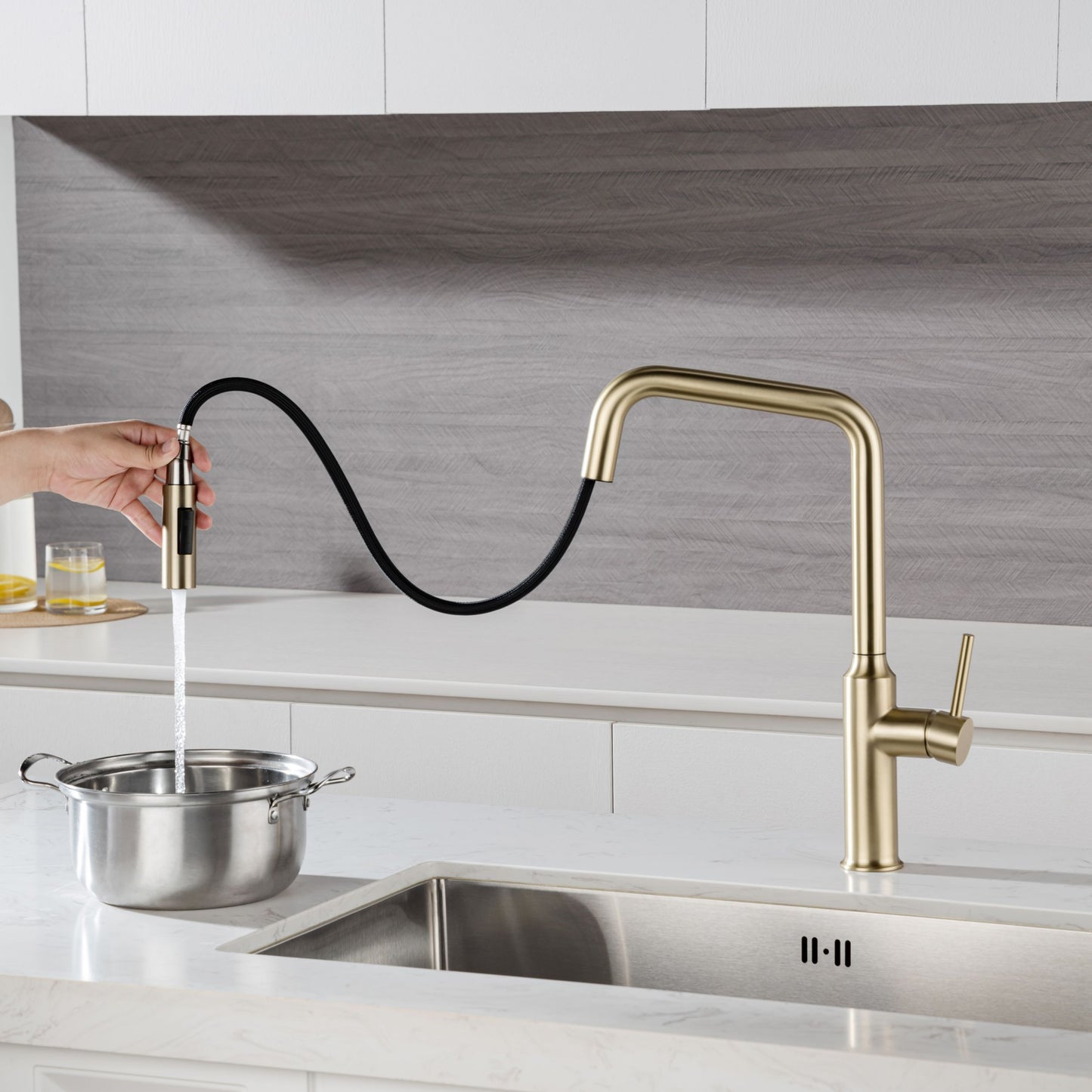 Rainlex Pull Down Kitchen Faucet