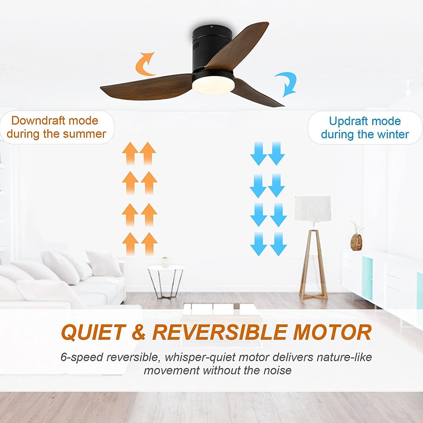 Modern Ceiling Fan with LED Light and Remote Control