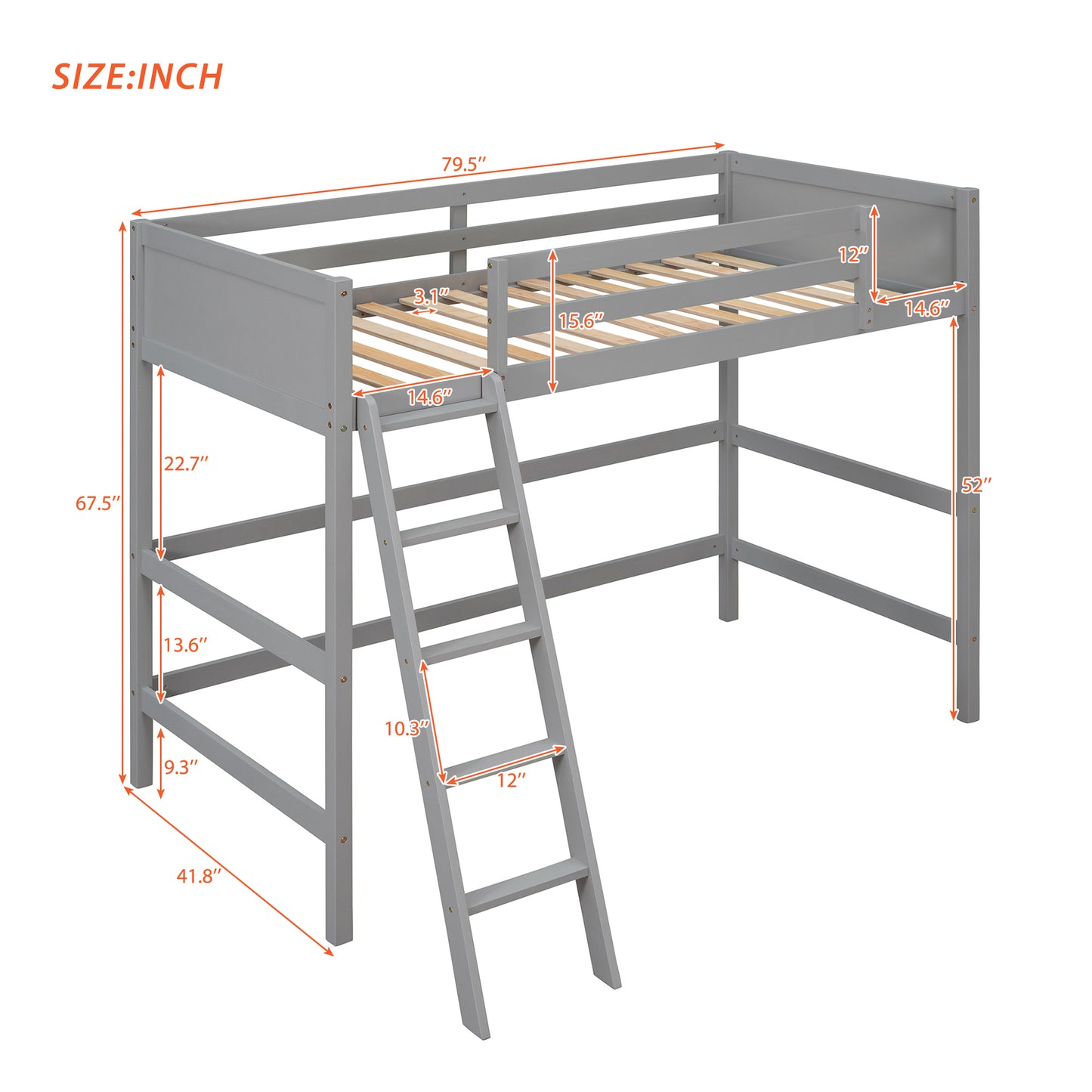 Solid Wood Twin Size Loft Bed with Ladder(Gray)(: WF191903AAE)