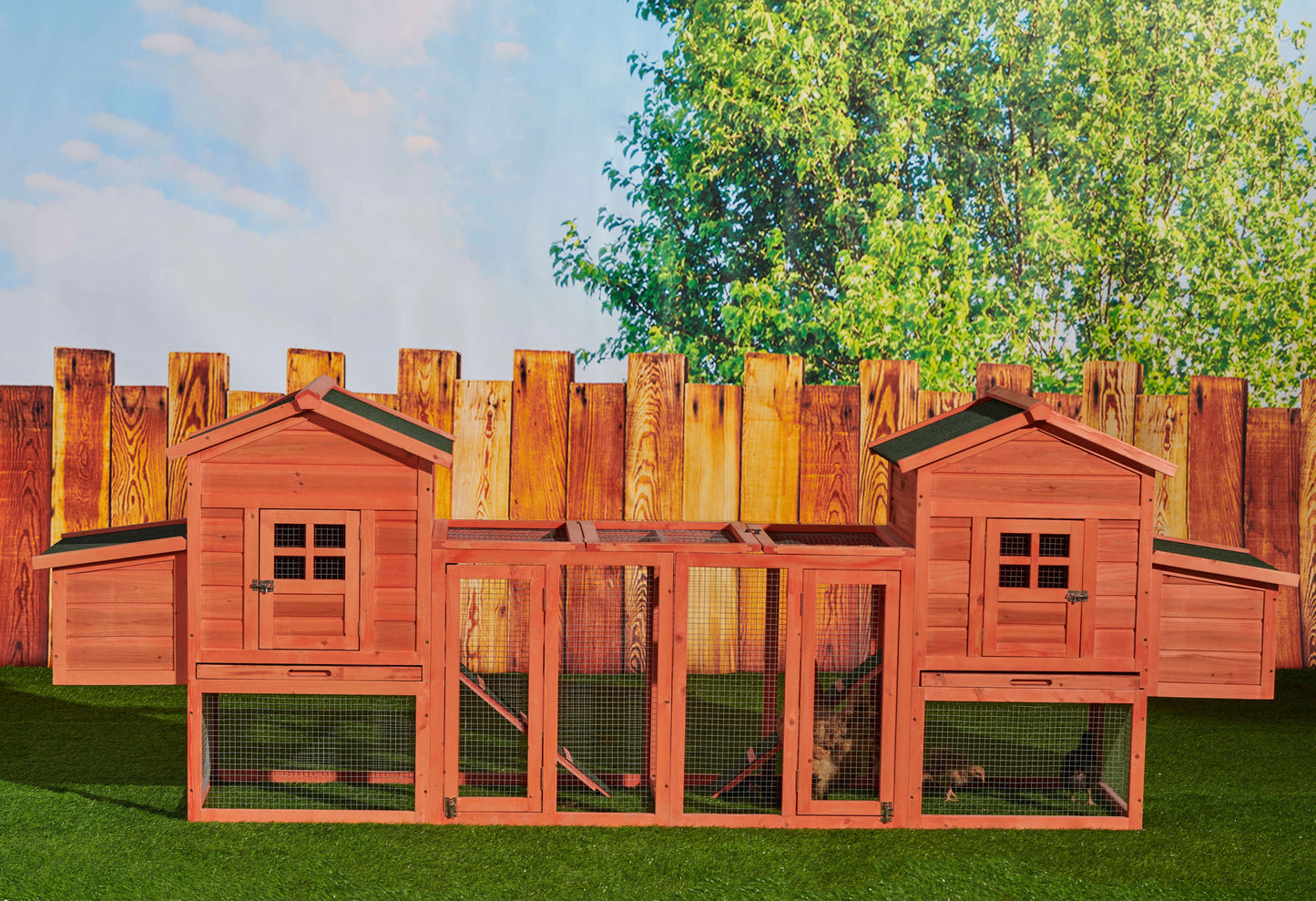 Chicken Coop Duplex with Outdoor Run