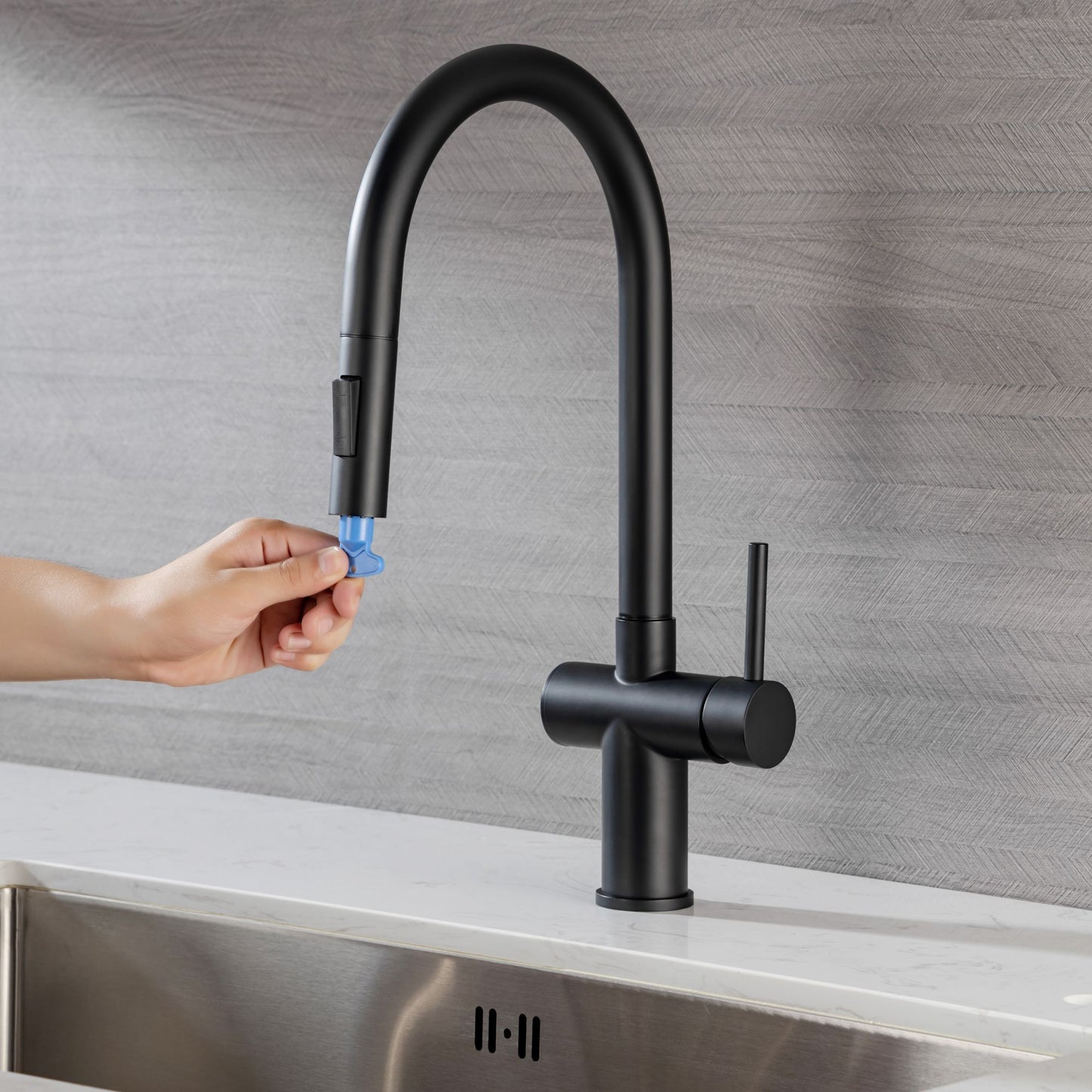 Rainlex Pull Down Kitchen Faucet