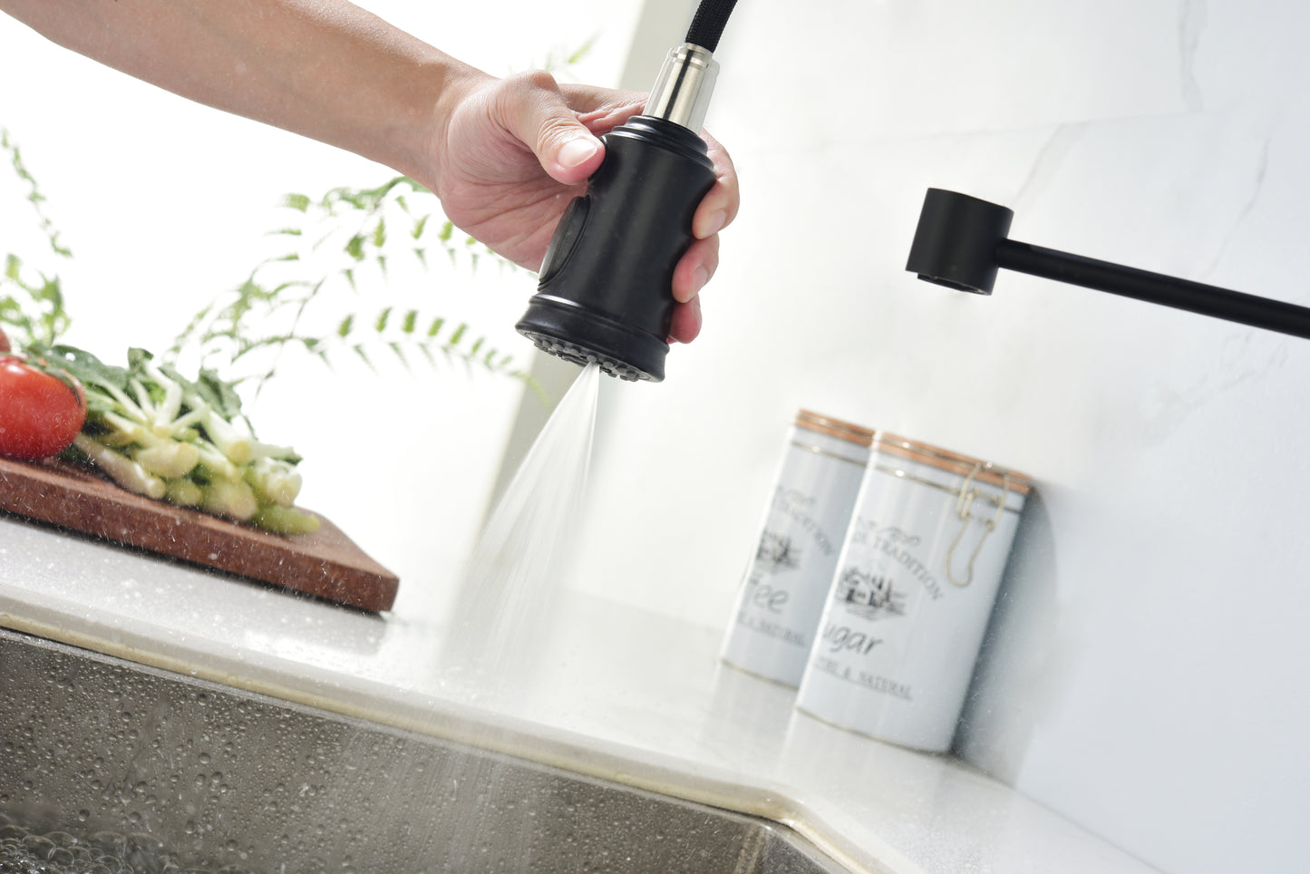 Kitchen Faucet with Pull Down Sprayer