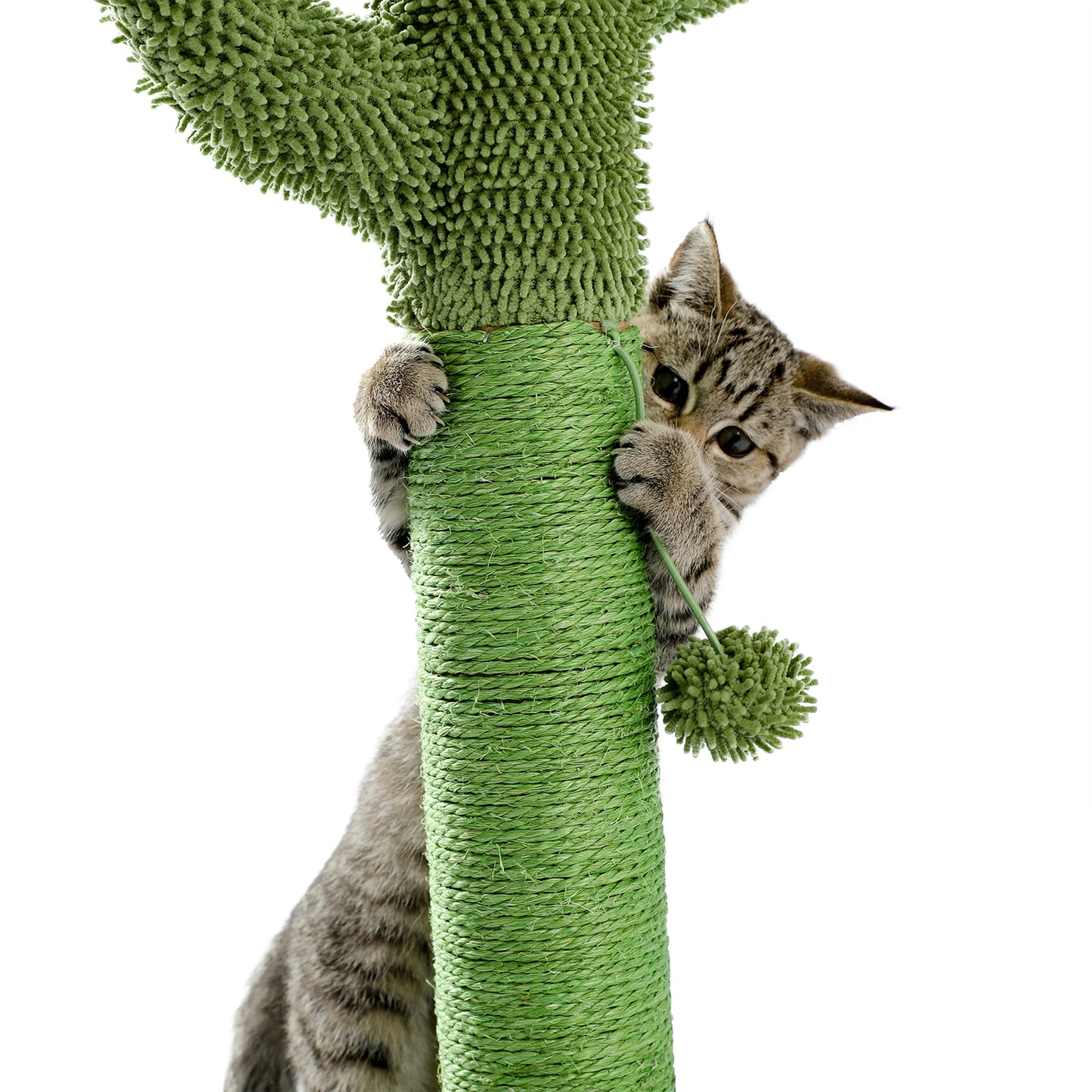 Cactus Cat Scratching Post with Natural Sisal Ropes, Interactive Ball, Cat Scratcher for Cats and Kittens Green