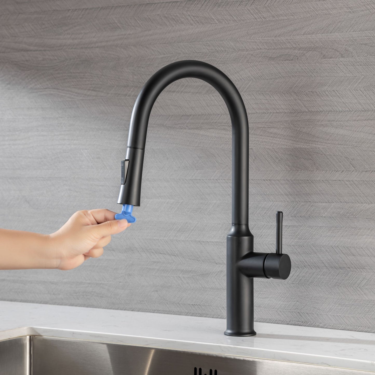 Rainlex Pull Down Kitchen Faucet