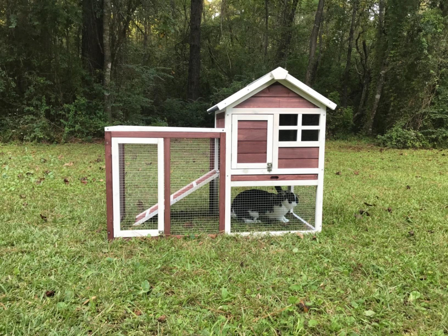 48 in. Large Chicken Coop Wooden Rabbit Hutch Auburn and White