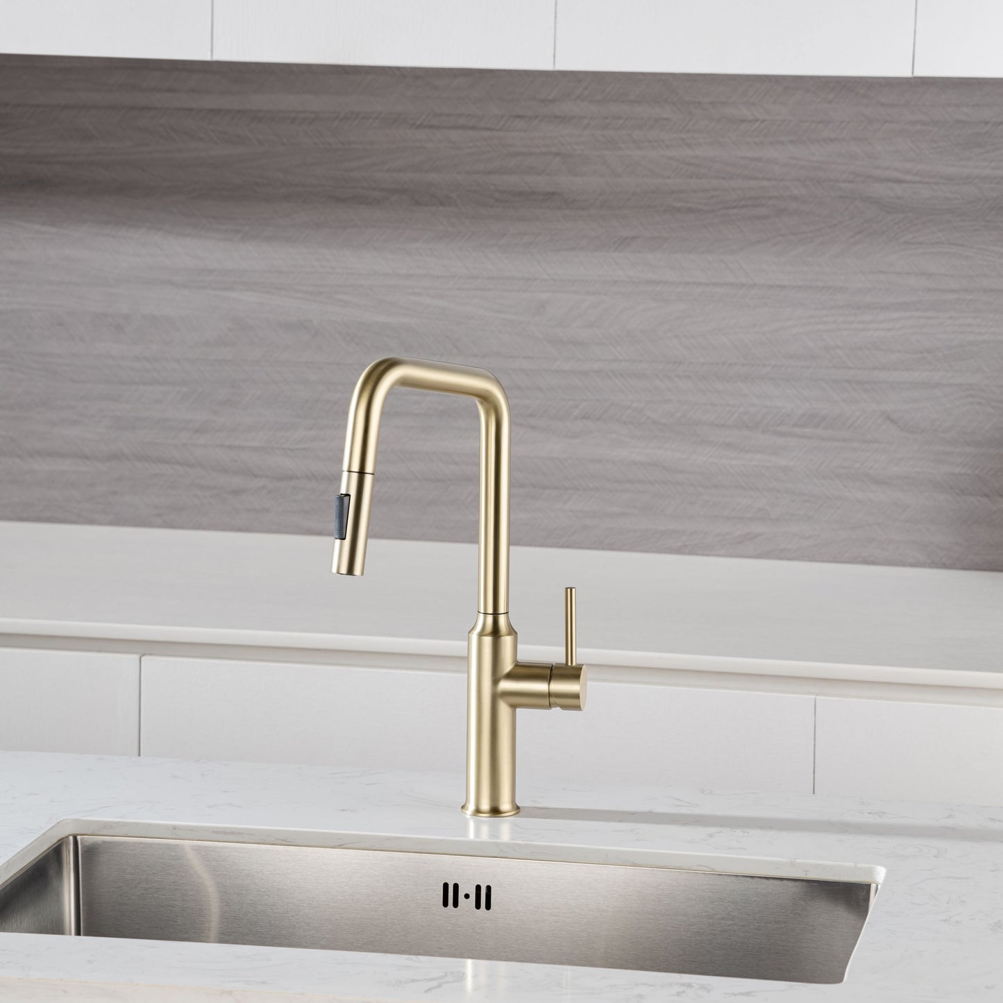 Rainlex Pull Down Kitchen Faucet