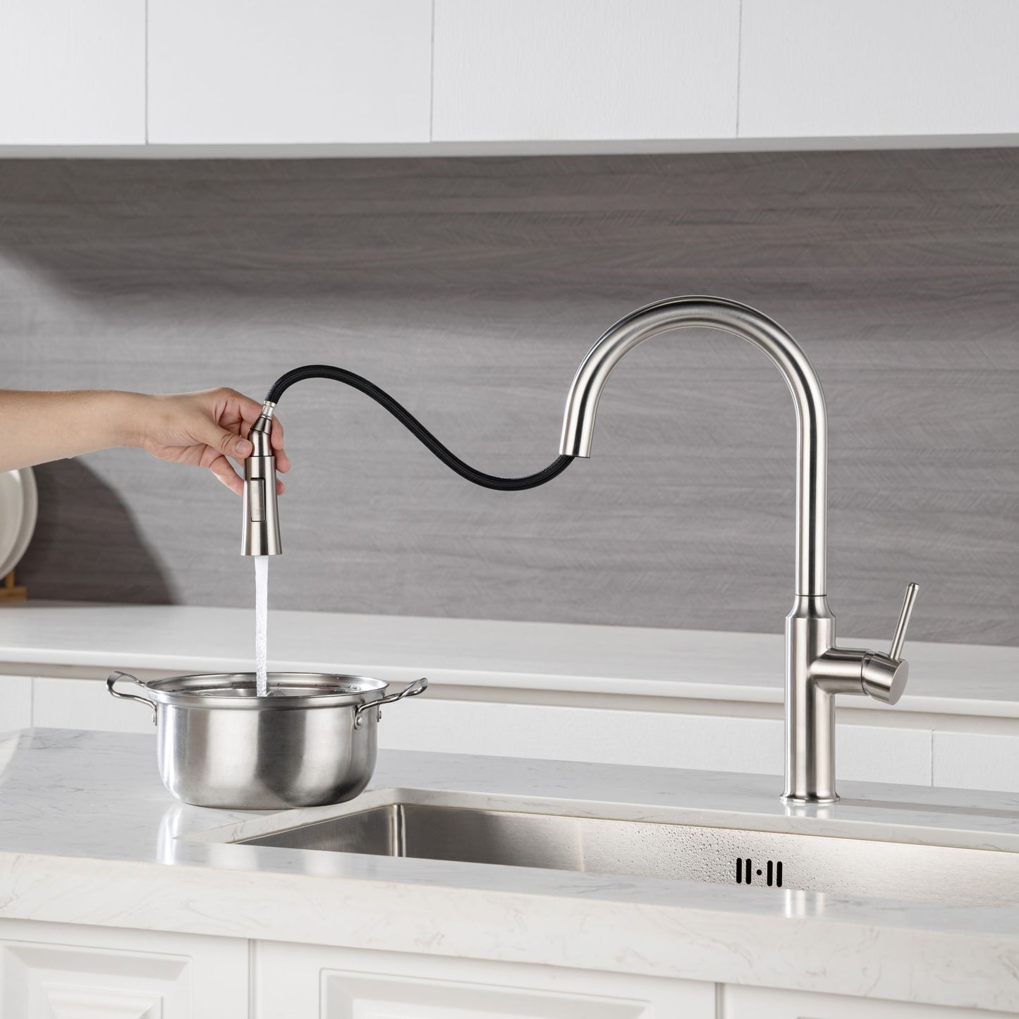 Rainlex Pull Down Kitchen Faucet