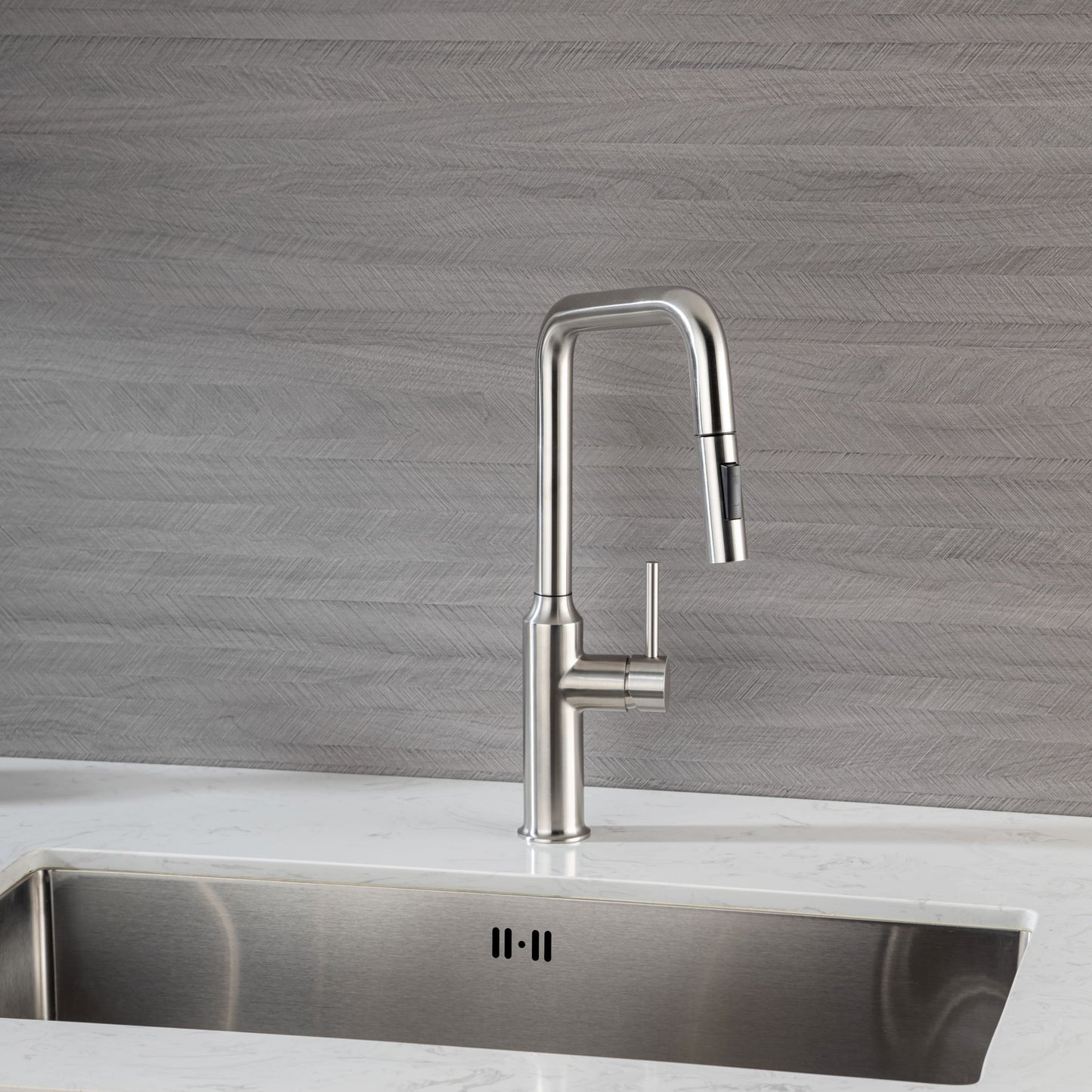 Rainlex Pull Down Kitchen Faucet