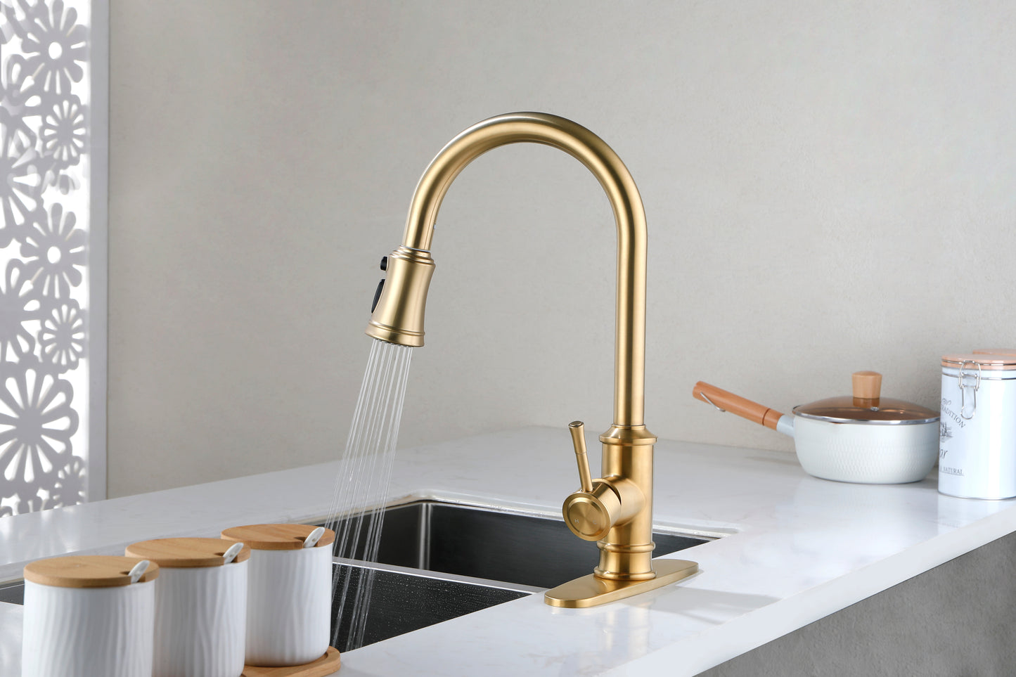 Kitchen Faucet with Pull Out Spraye