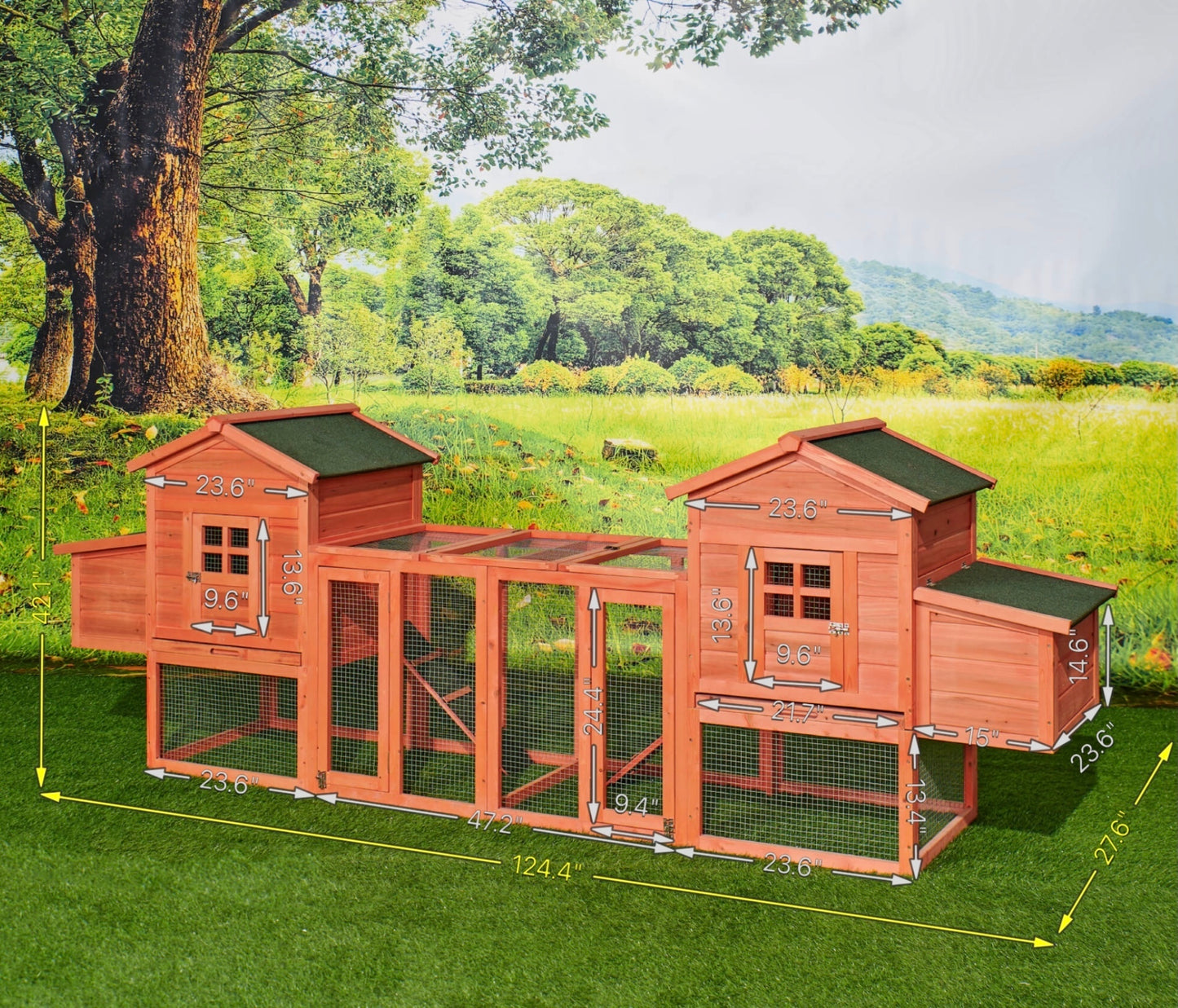 Chicken Coop Duplex with Outdoor Run