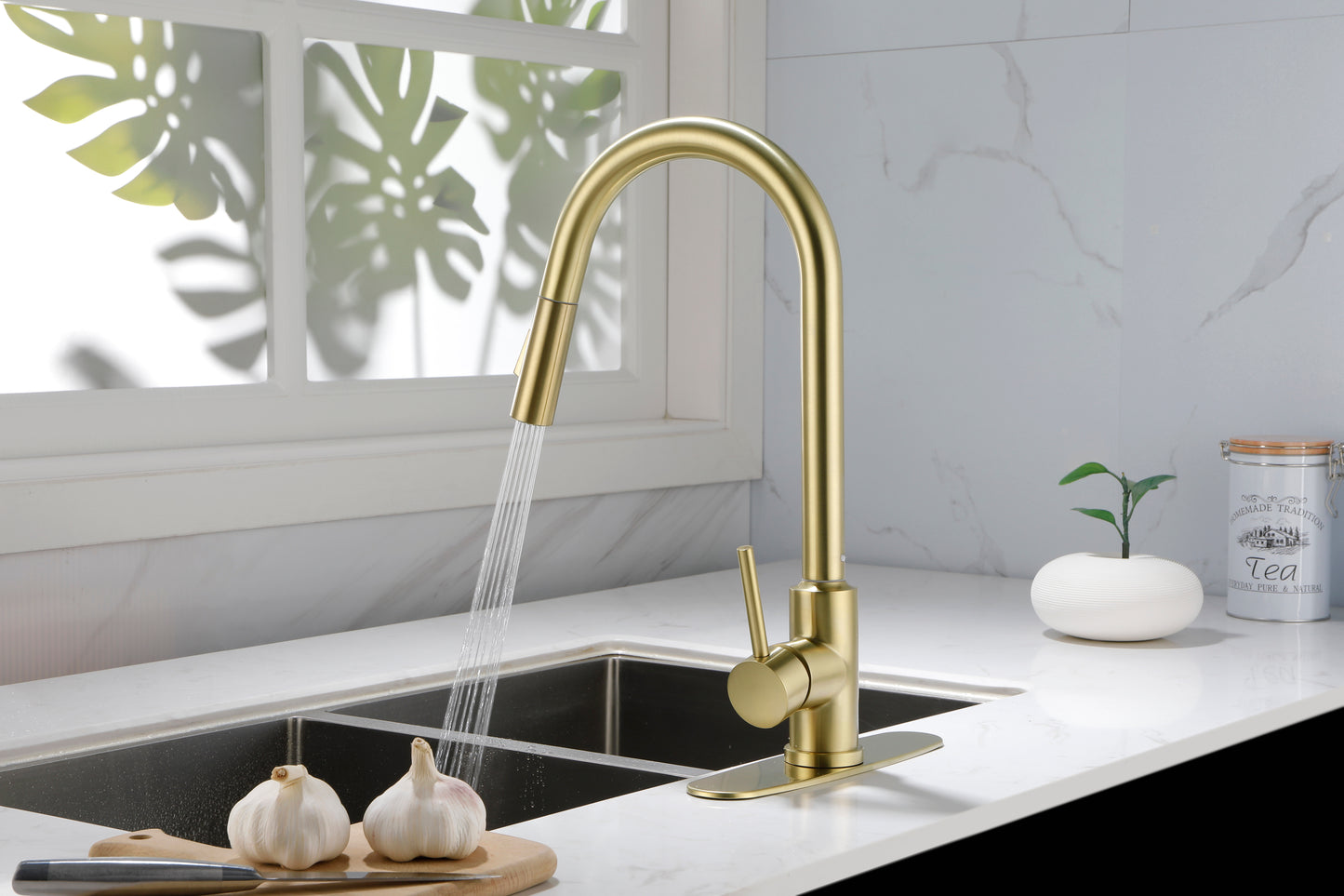 Kitchen Faucet with Pull Down Sprayer