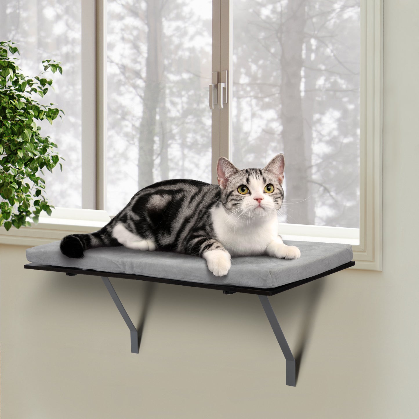 Cat Perch Window Mounted Shelf Bed with Velvet Cushion for Rest, Black Gray