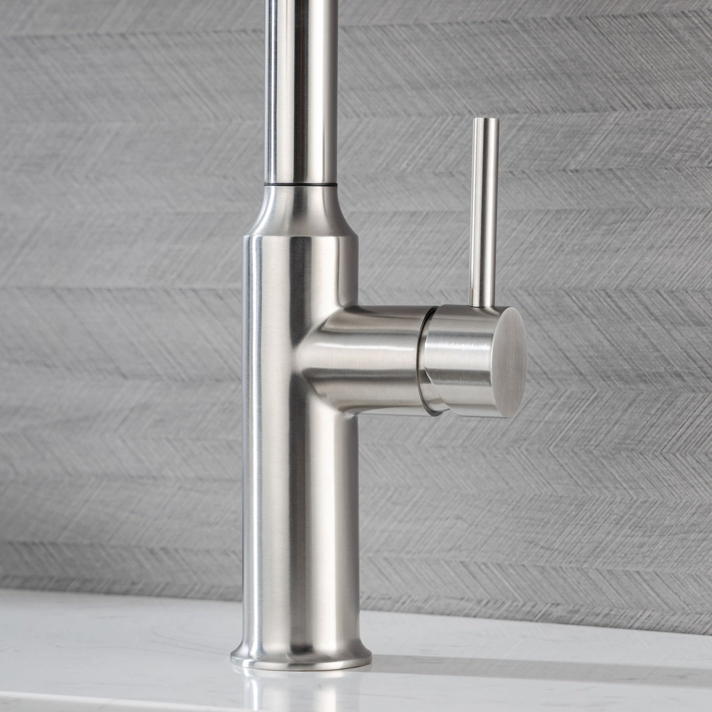 Rainlex Pull Down Kitchen Faucet