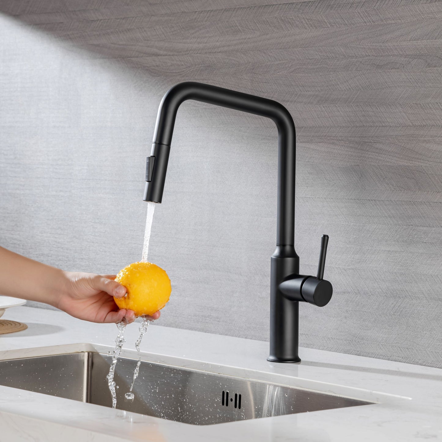 Rainlex Pull Down Kitchen Faucet