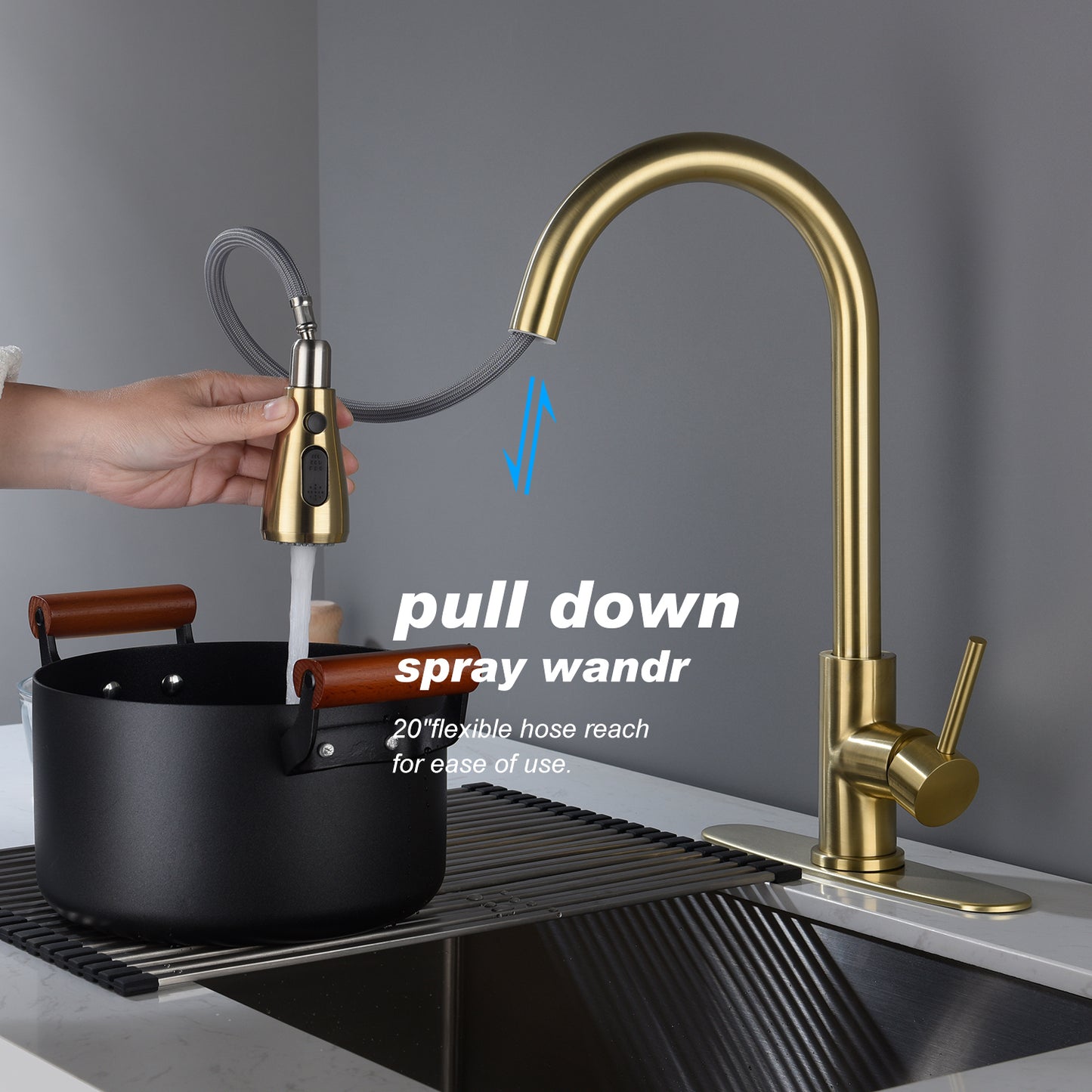 Kitchen Faucet with Pull Out Spraye