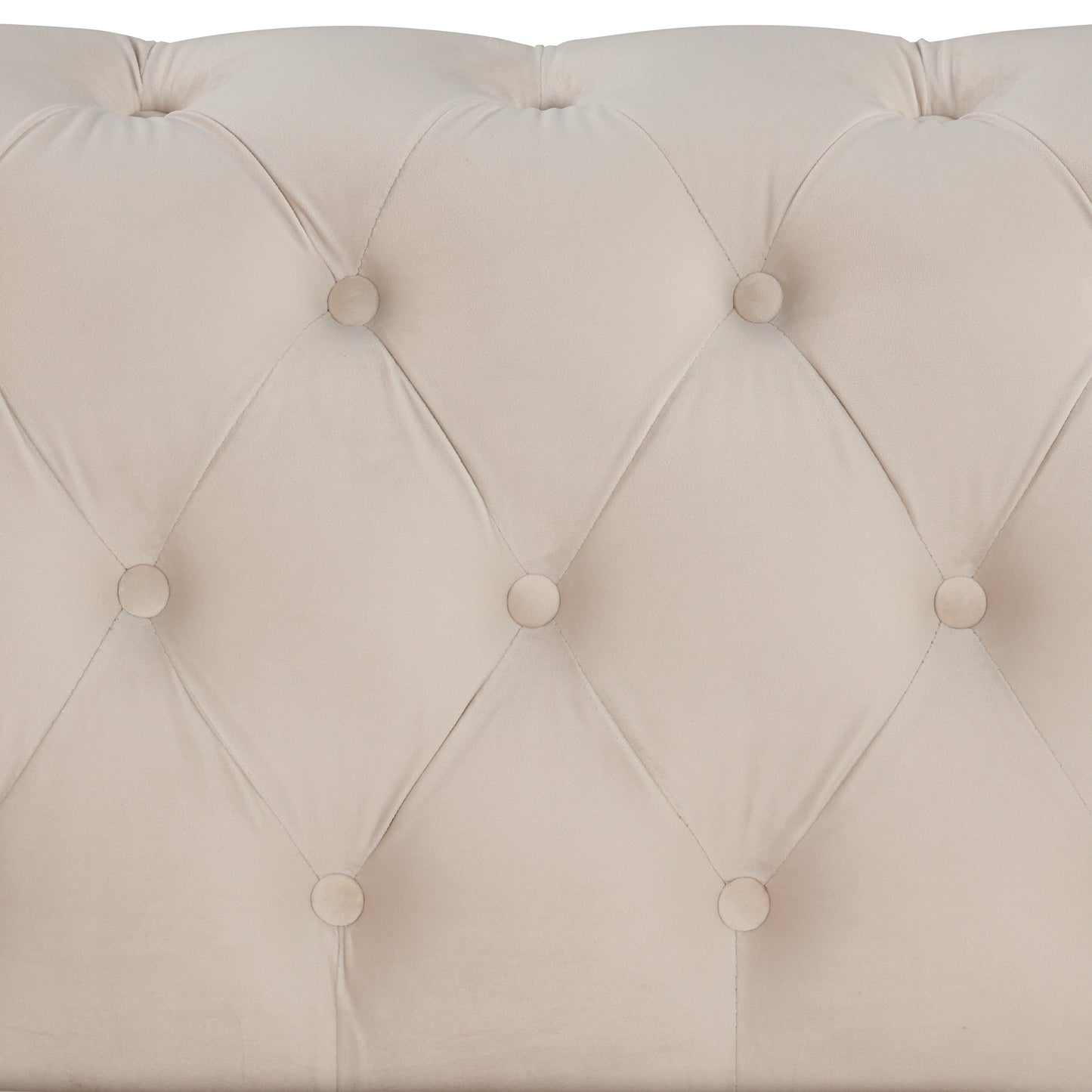 Elegant Beige Velvet Upholstered 2-Person Loveseat Sofa