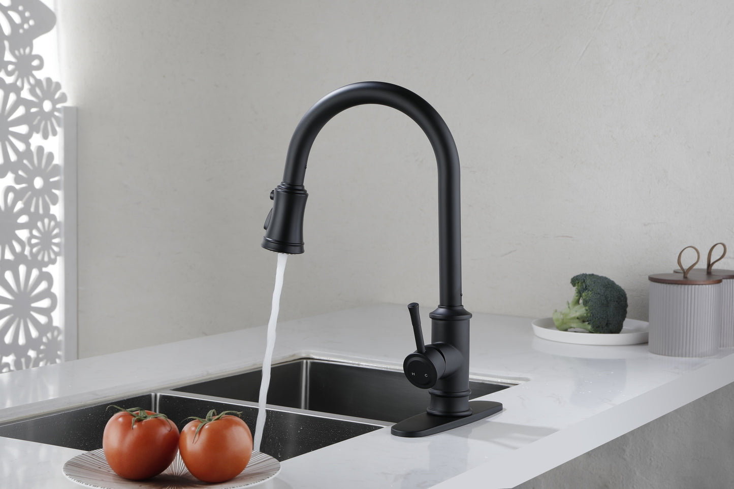 Kitchen Faucet with Pull Out Spraye