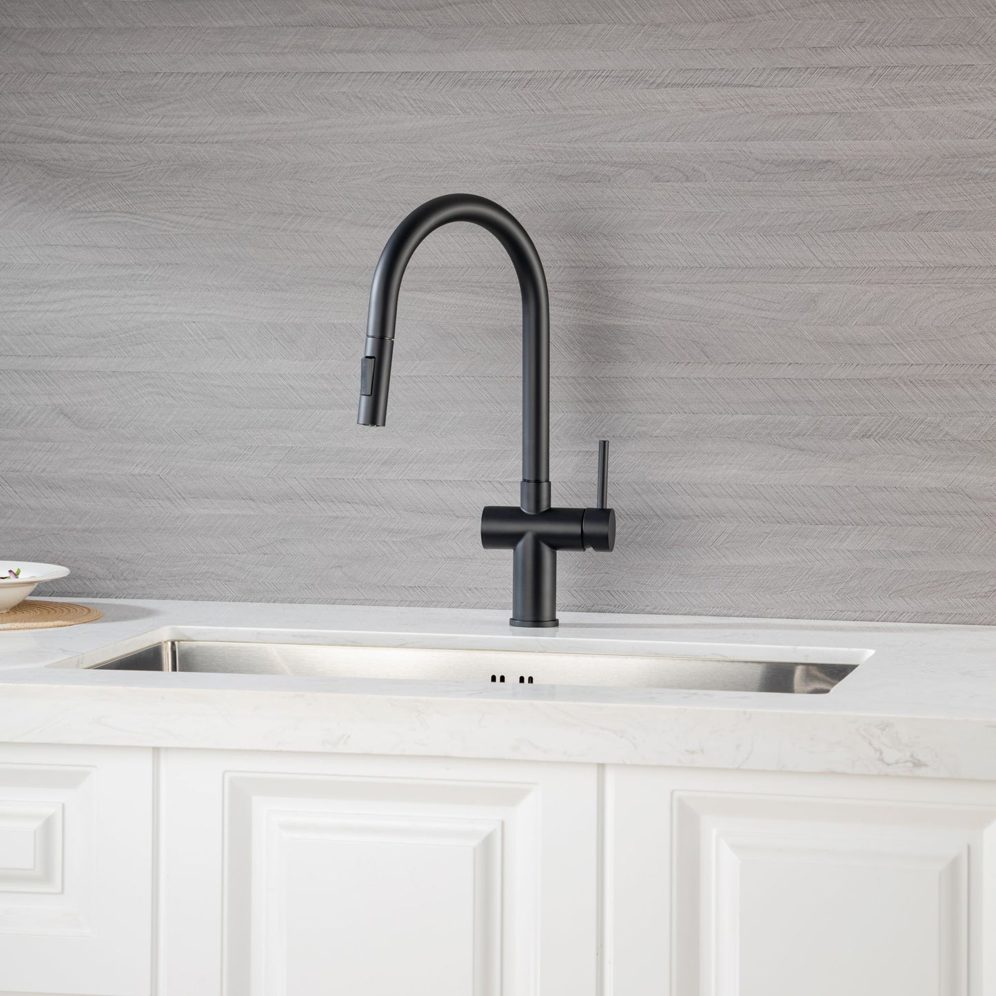 Rainlex Pull Down Kitchen Faucet