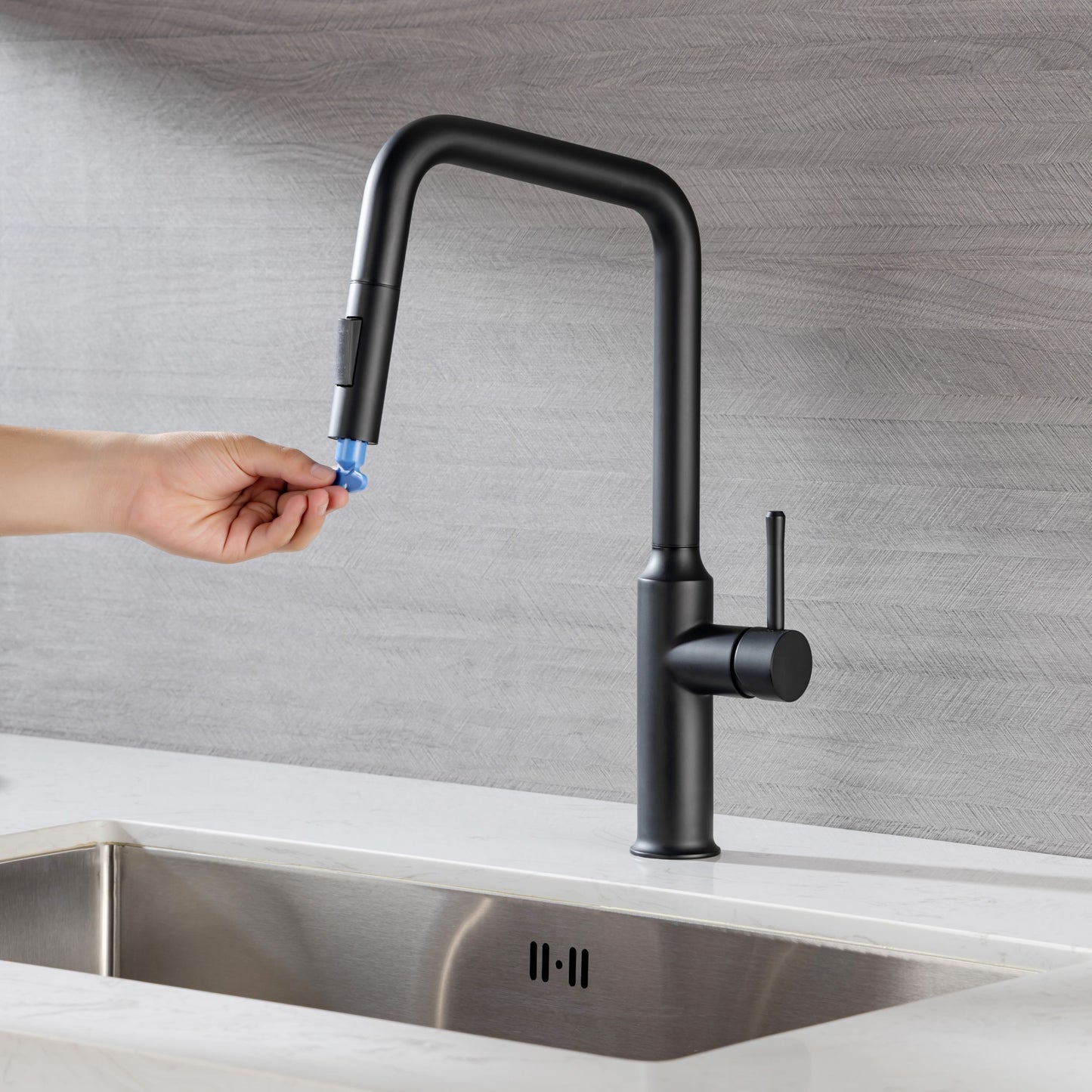 Rainlex Pull Down Kitchen Faucet