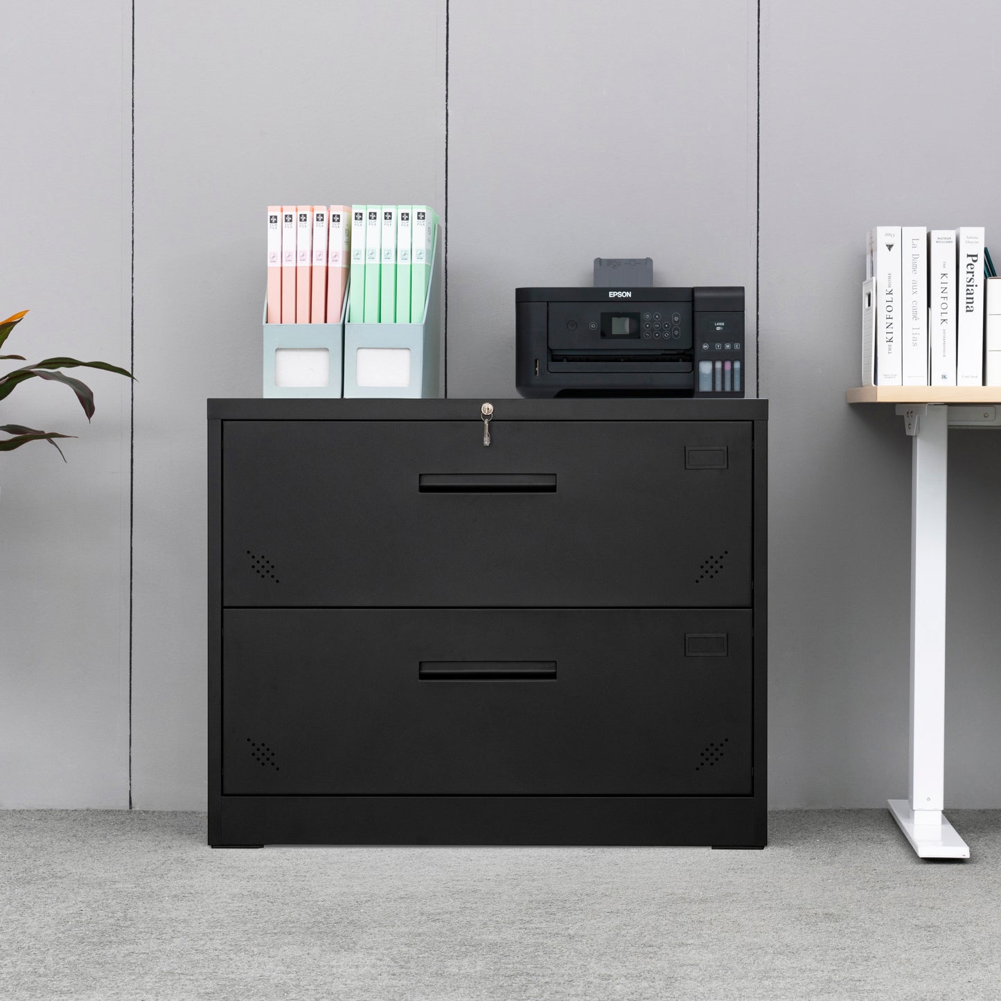 2-Drawer Lateral Filing Cabinet with Secure Locking, Black Steel