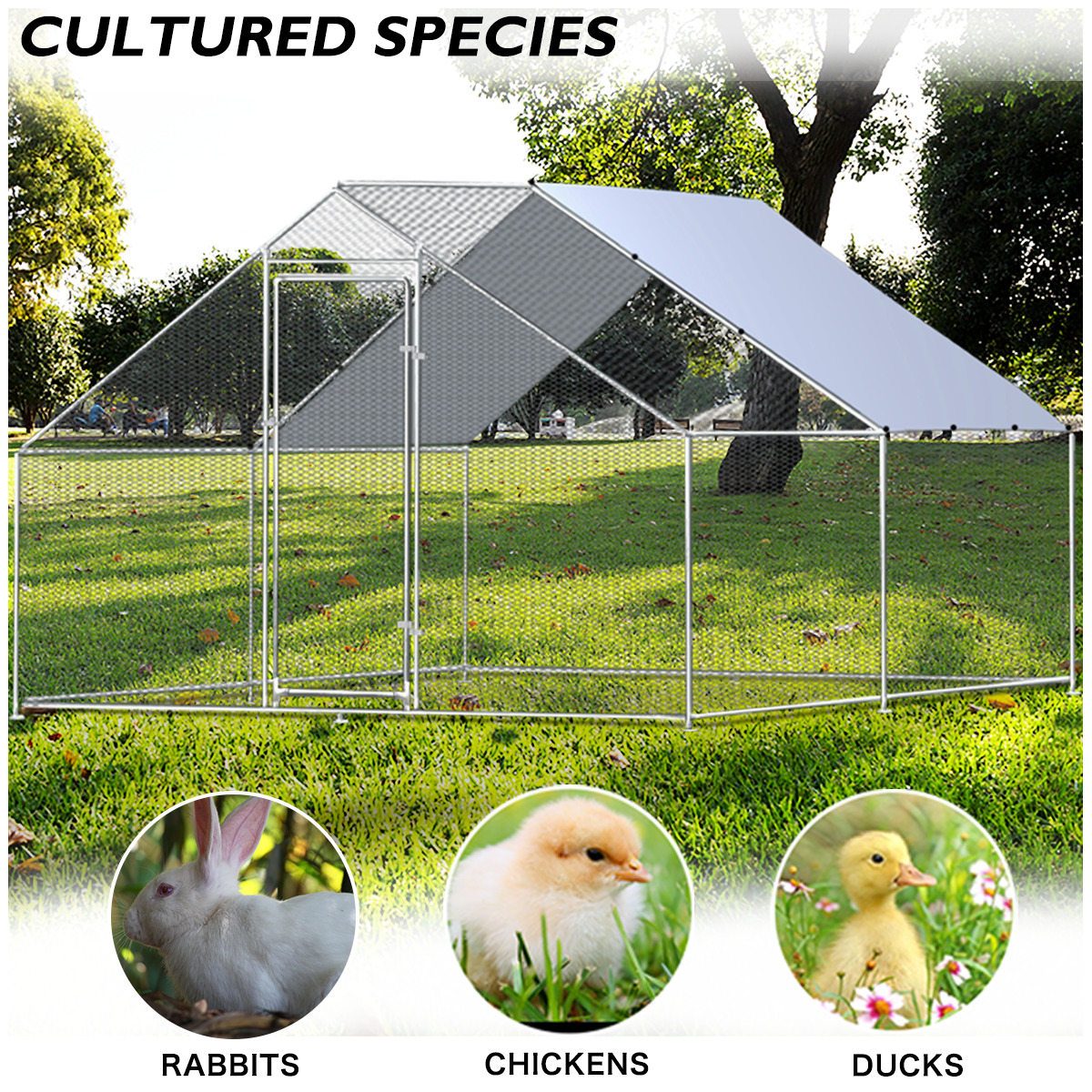 Metal Large Chicken Coop Walk-in Poultry Cage Large Chicken Run Spire Shaped Cage with Waterproof Anti-UltravioletCover, 1.26" Diameter Tube (9.8' L x 13.1' W x 6.4' H)