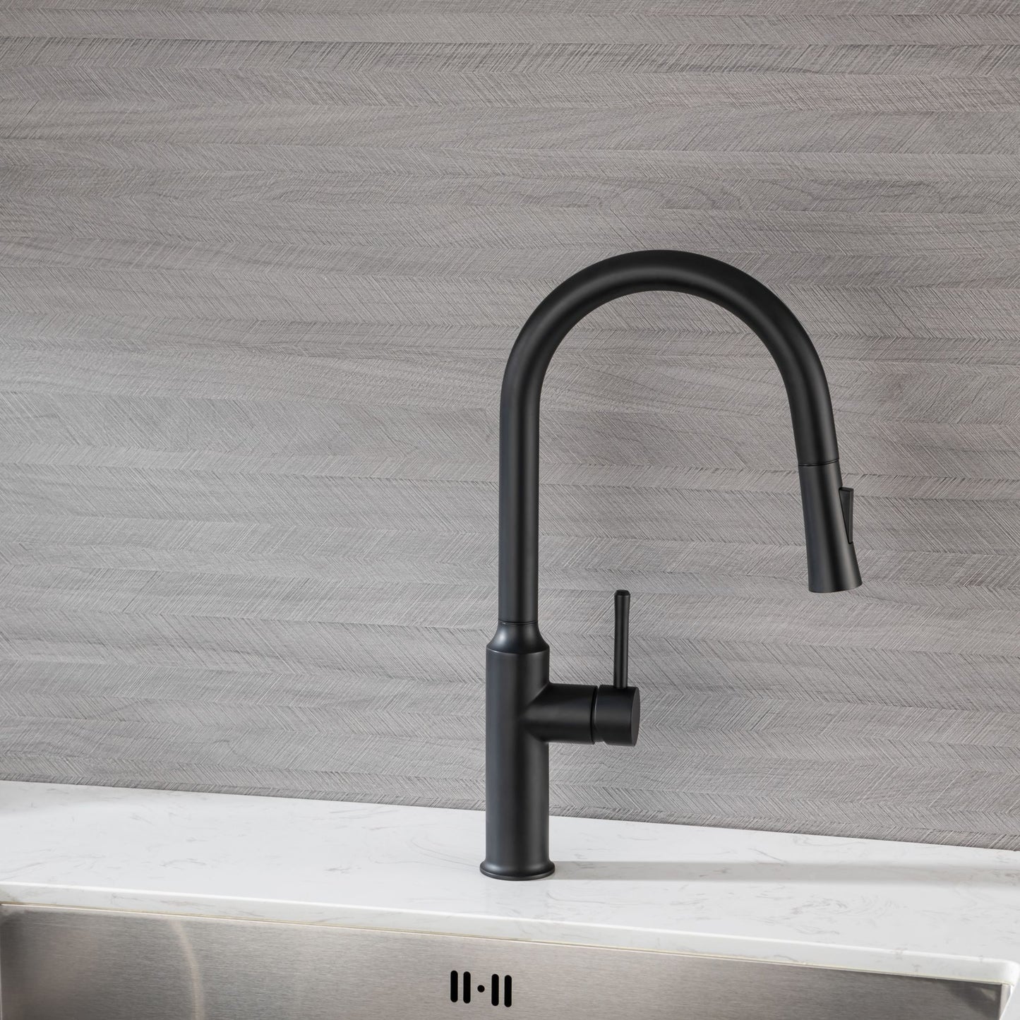 Rainlex Pull Down Kitchen Faucet