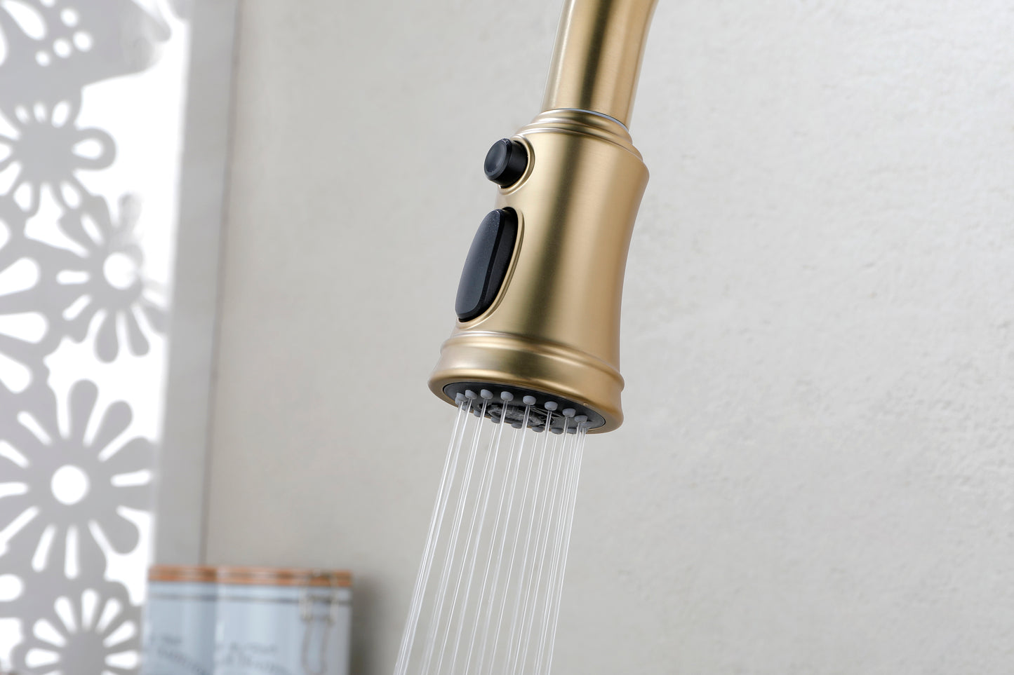 Kitchen Faucet with Pull Out Spraye