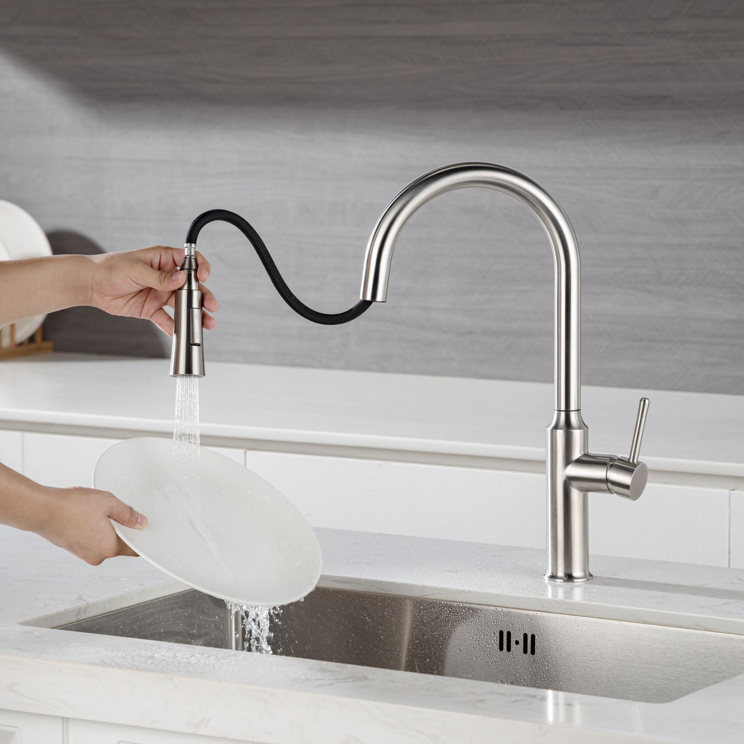 Rainlex Pull Down Kitchen Faucet