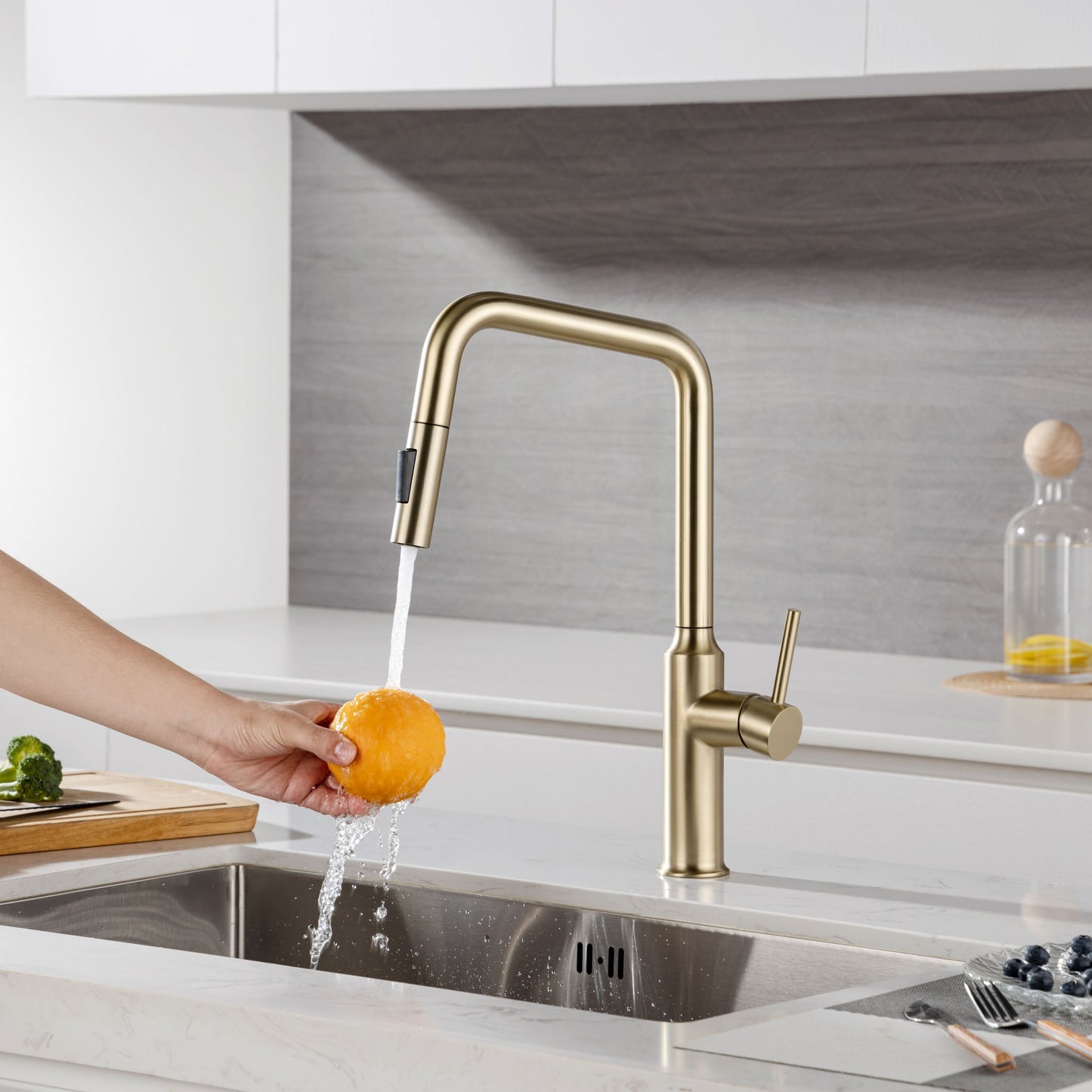 Rainlex Pull Down Kitchen Faucet